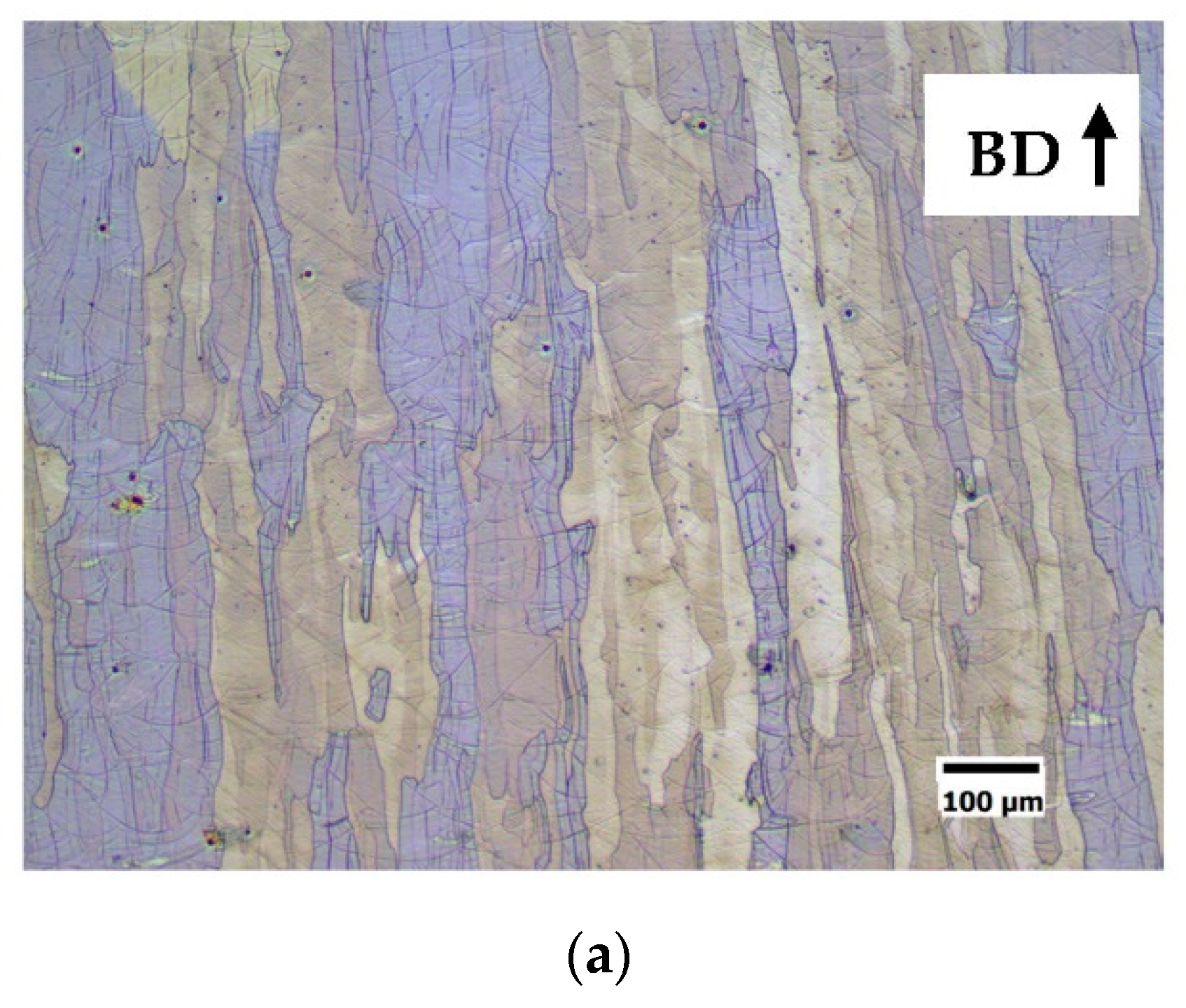 Materproc 03 00028 g004a