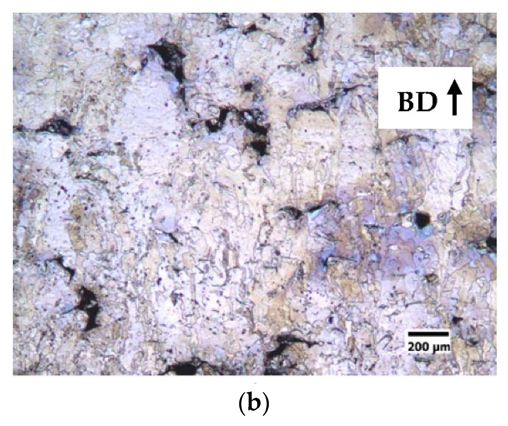 Materproc 03 00028 g004b