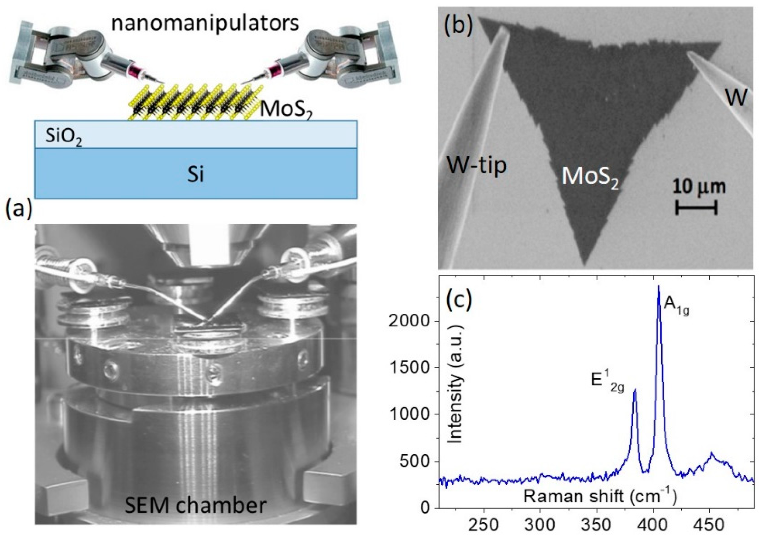 Materproc 04 00016 g001