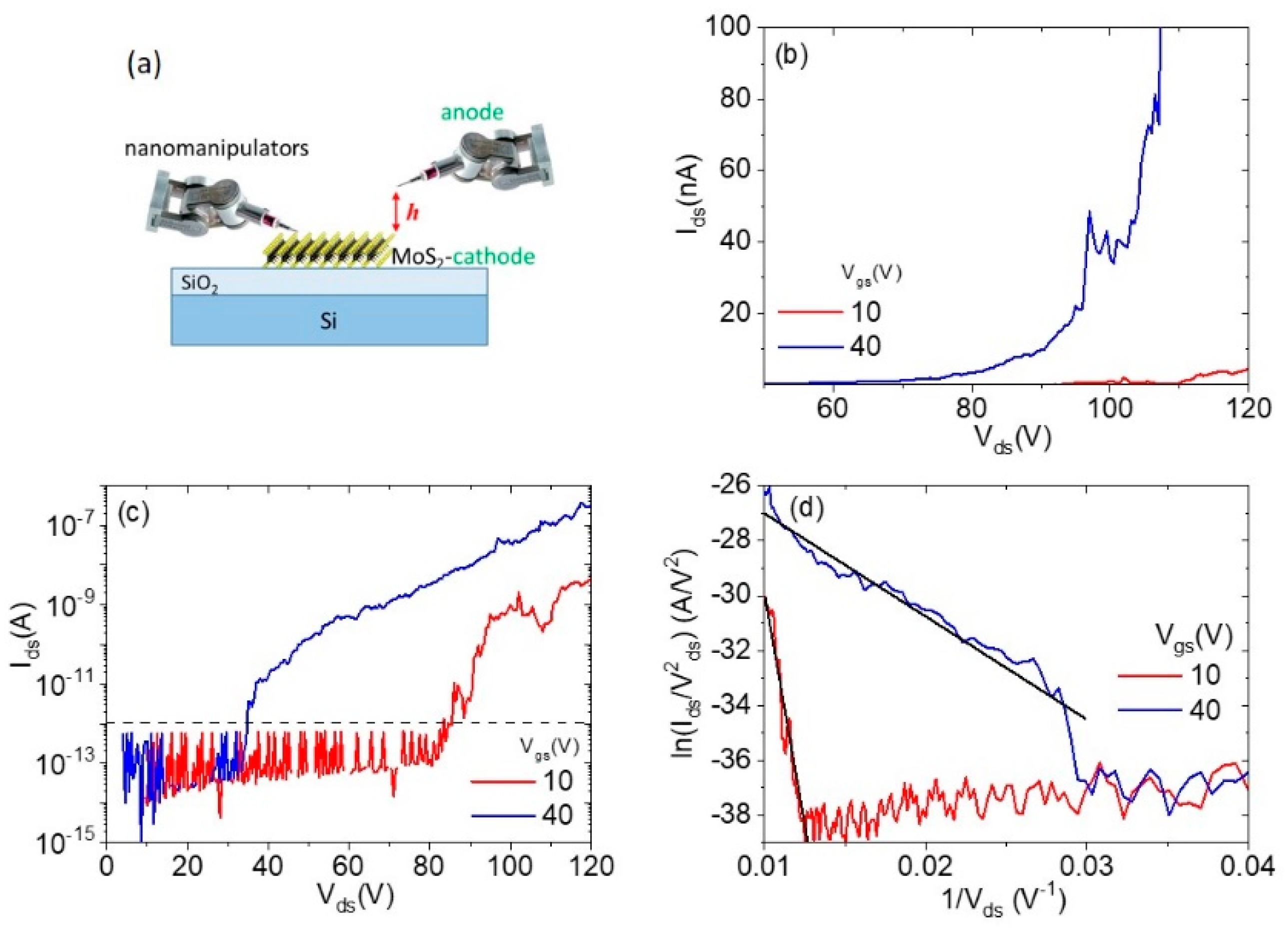 Materproc 04 00016 g003