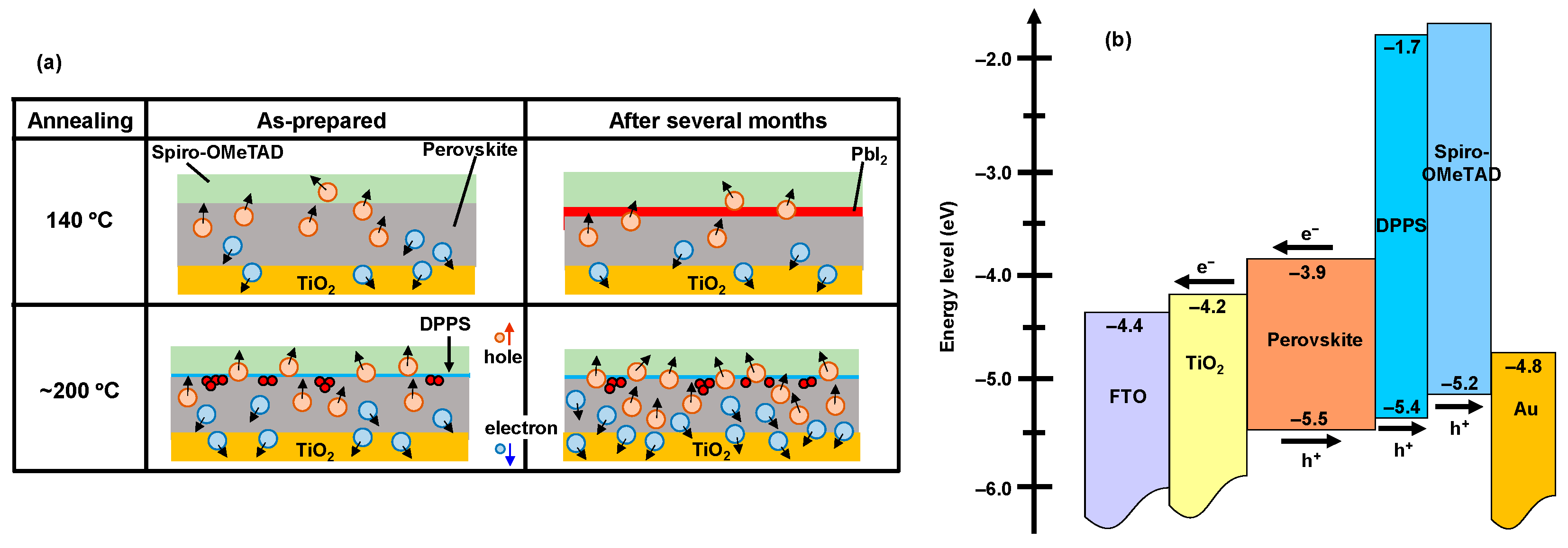 Materproc 04 00051 g003