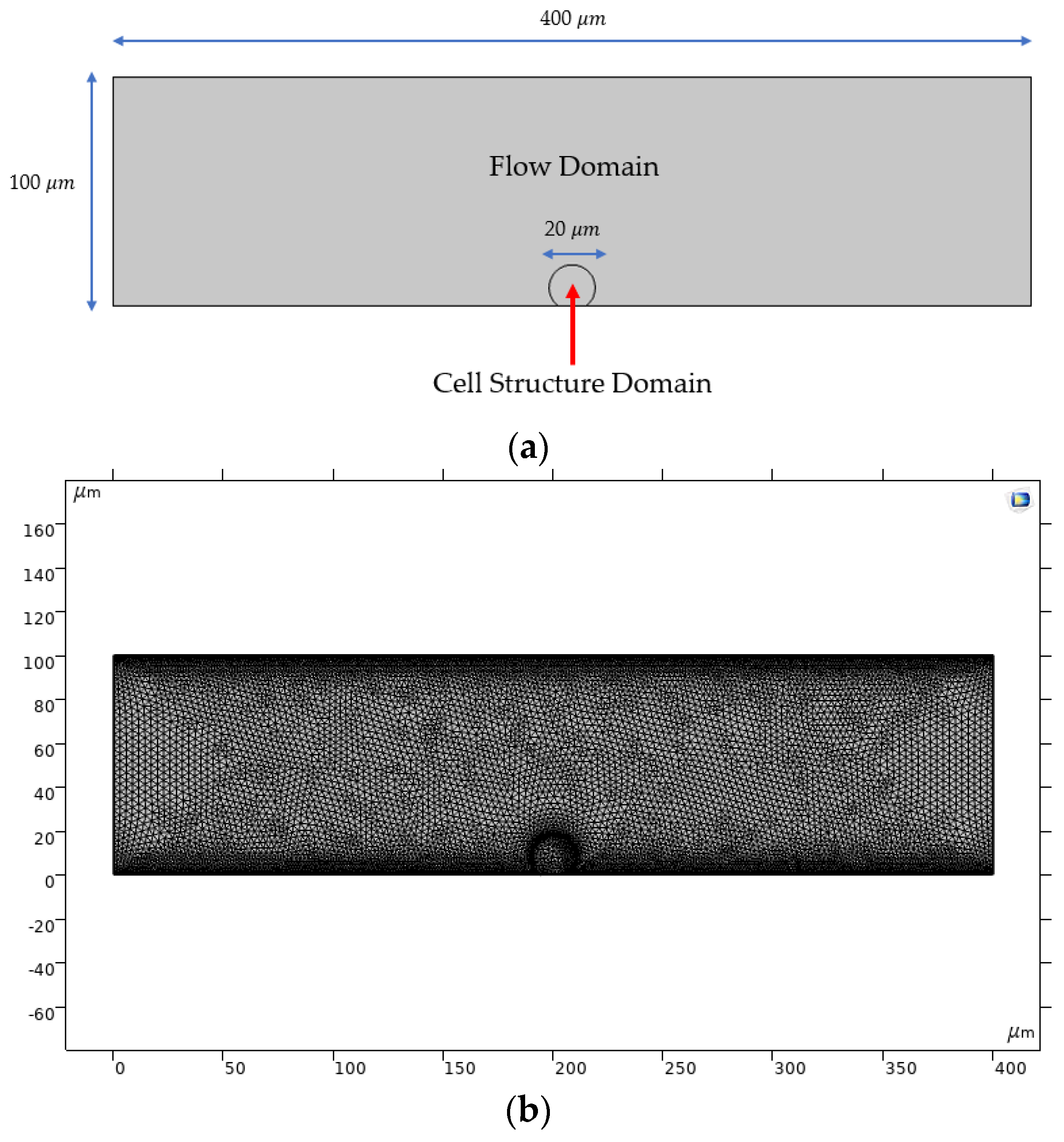 Materproc 04 00074 g002