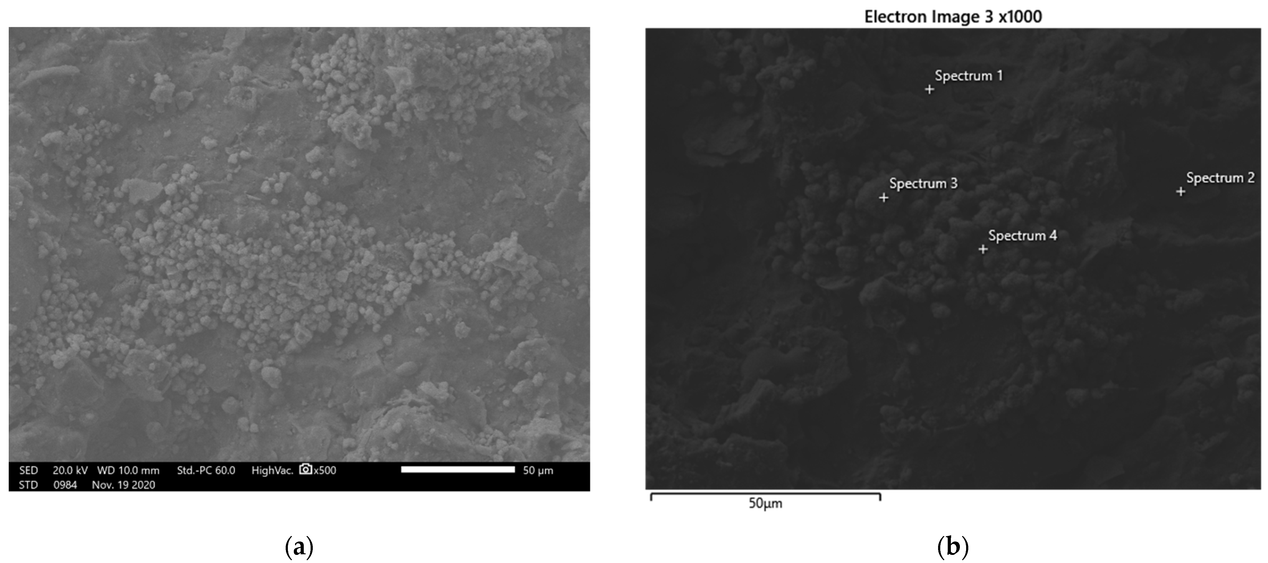 Materproc 05 00090 g002