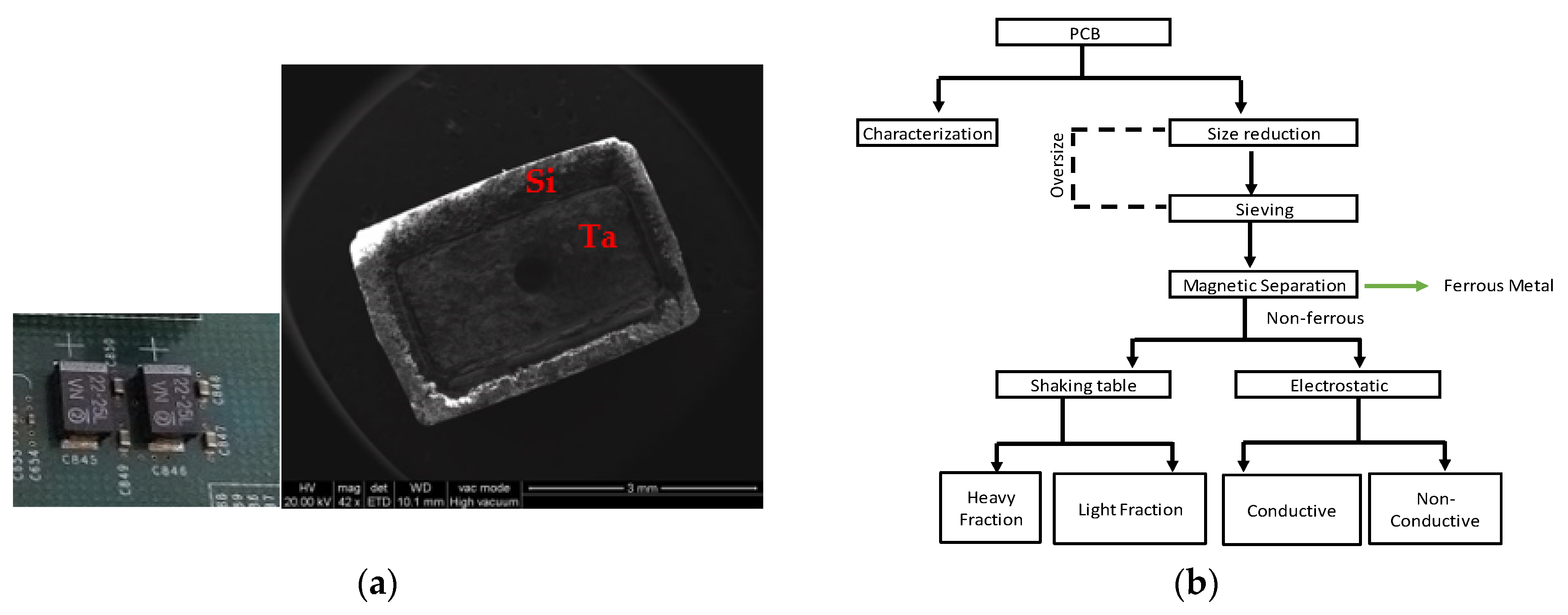 Materproc 05 00121 g002