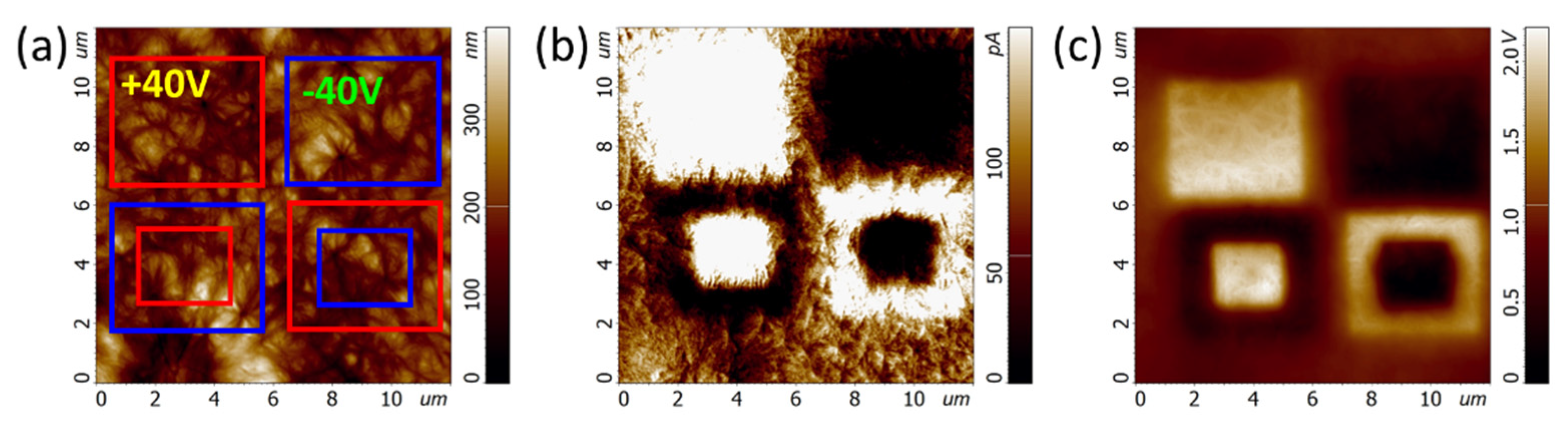 Materproc 08 00057 g001