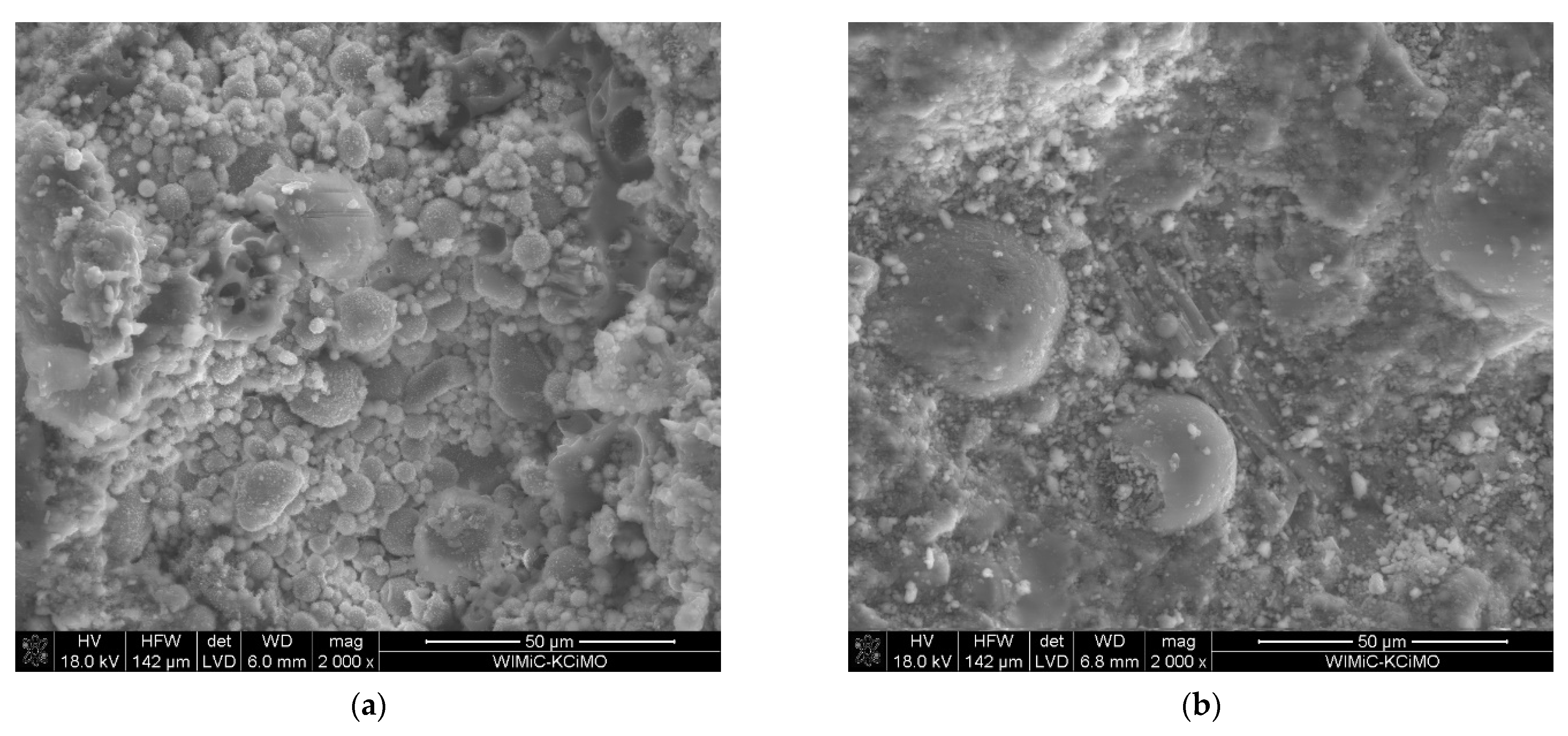 Materproc 13 00011 g003