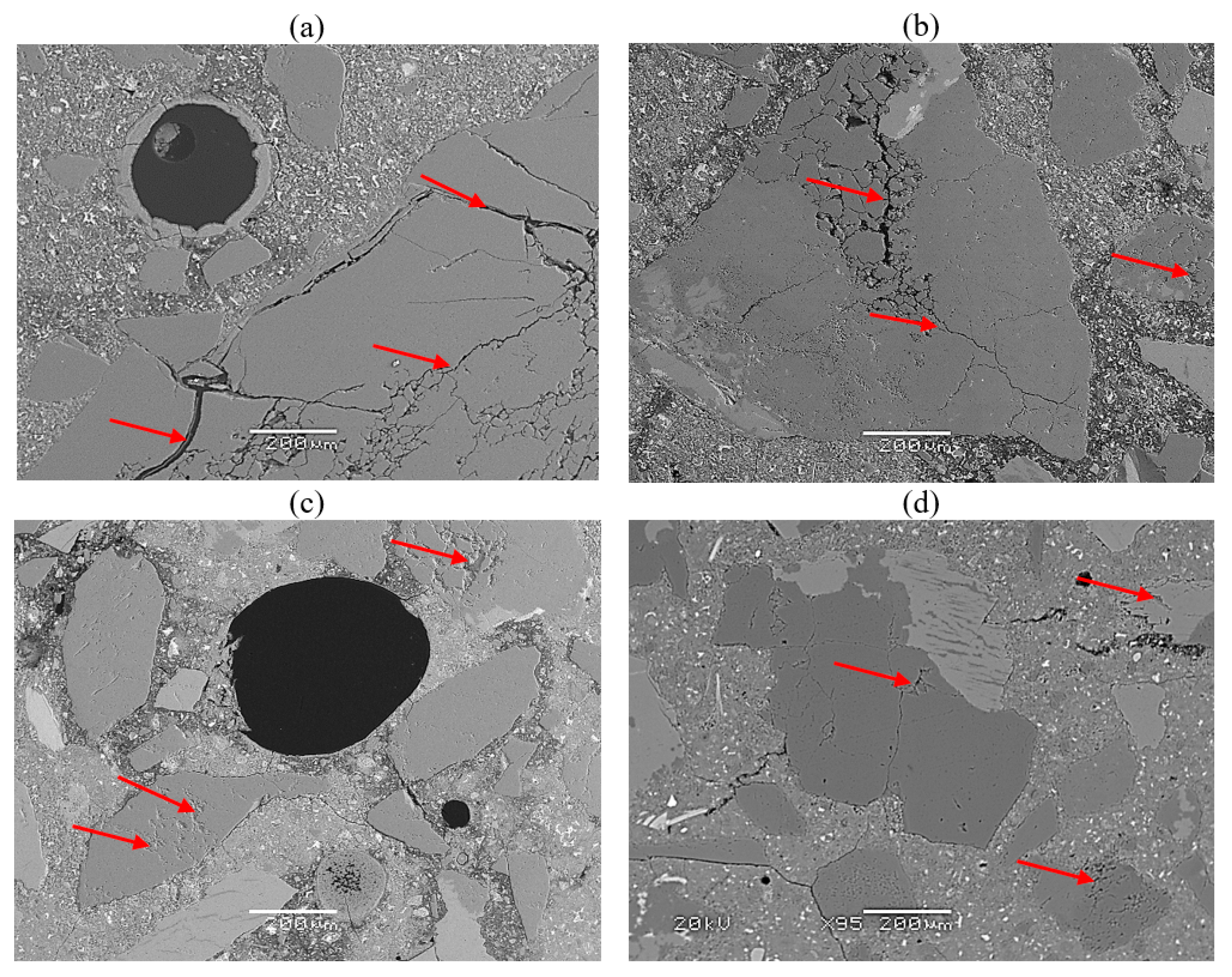 Materproc 13 00015 g003