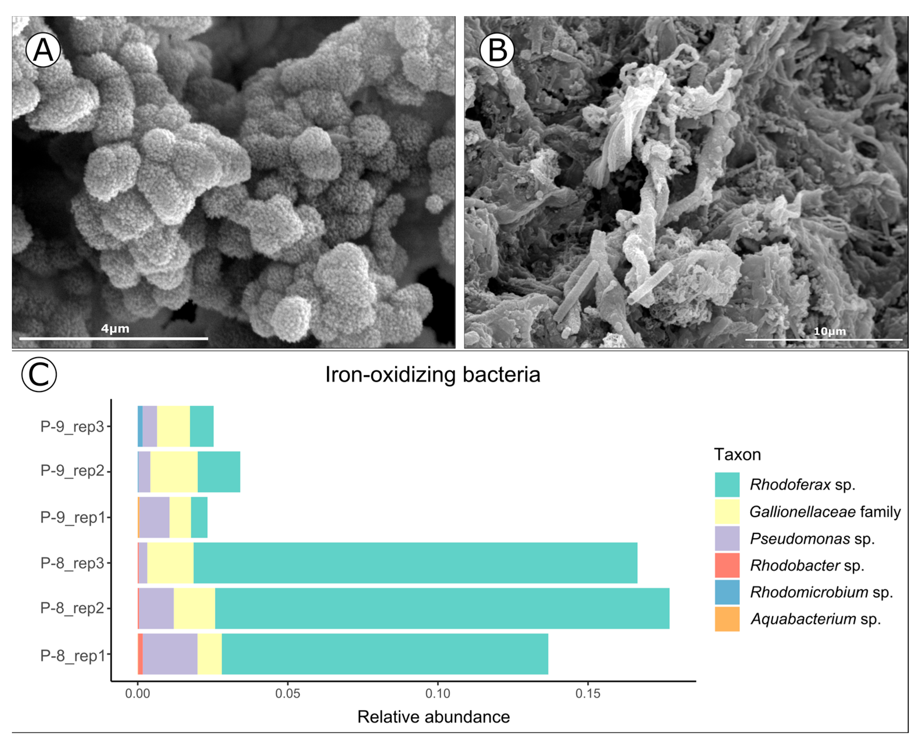 Materproc 15 00047 g002