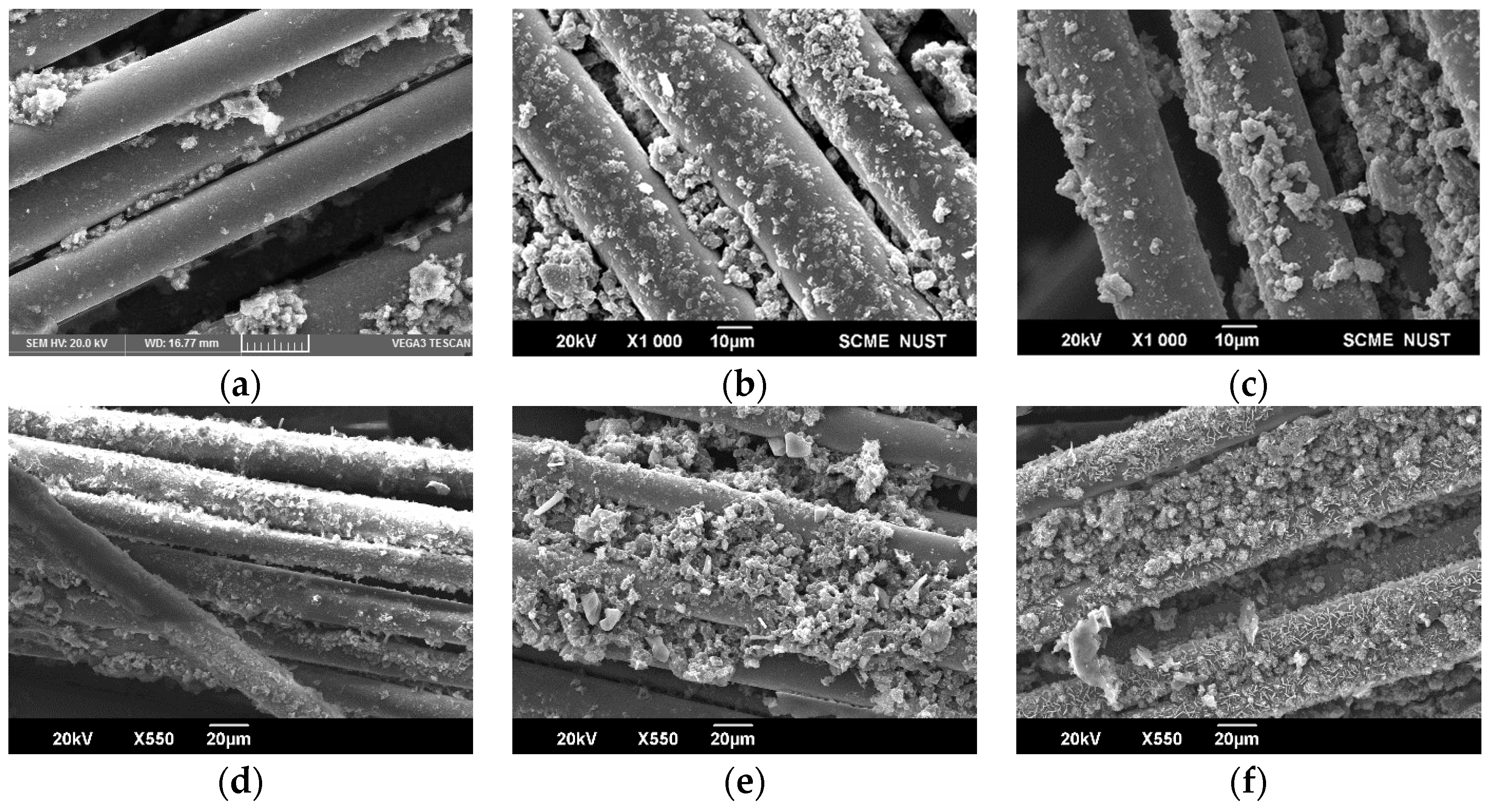 Materproc 17 00004 g002