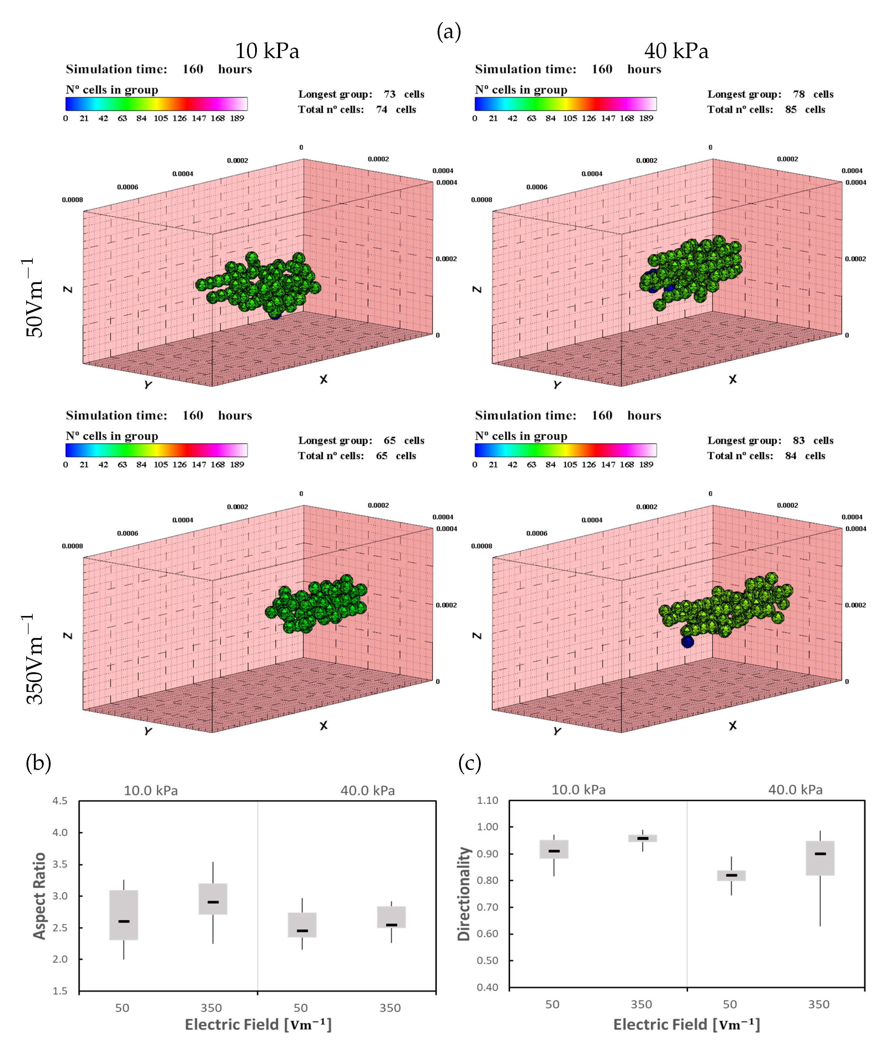 Mathematics Free Full Text A Computational Model For Cardiomyocytes Mechano Electric Stimulation To Enhance Cardiac Tissue Regeneration Html