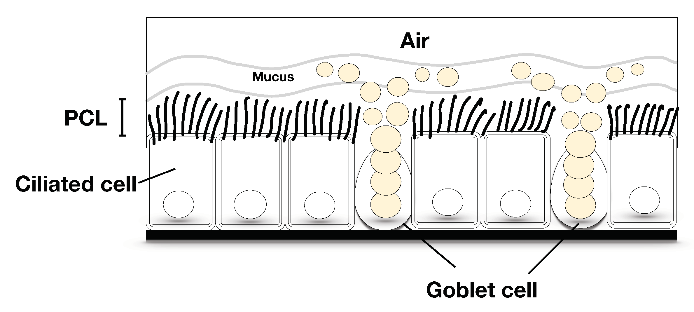 Mathematics 08 01961 g001