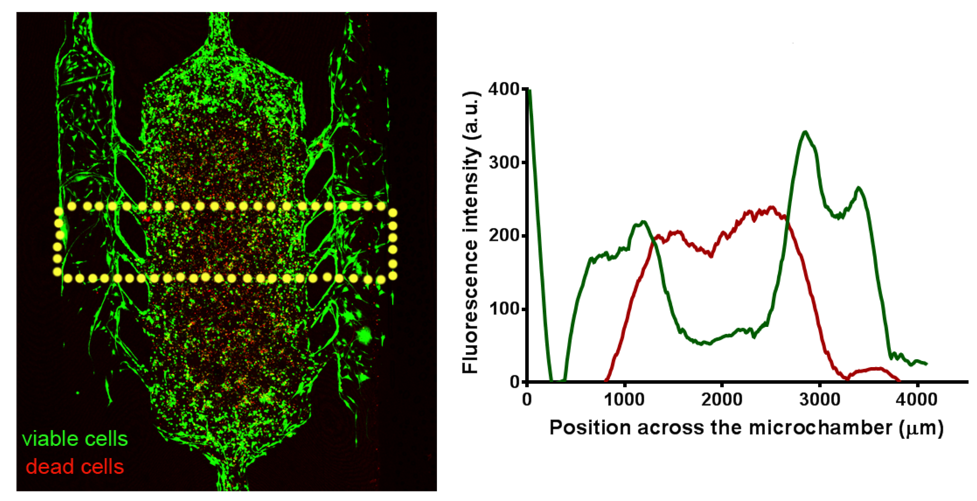 Mathematics 09 00027 g001 Mathematics 09 00027 g001