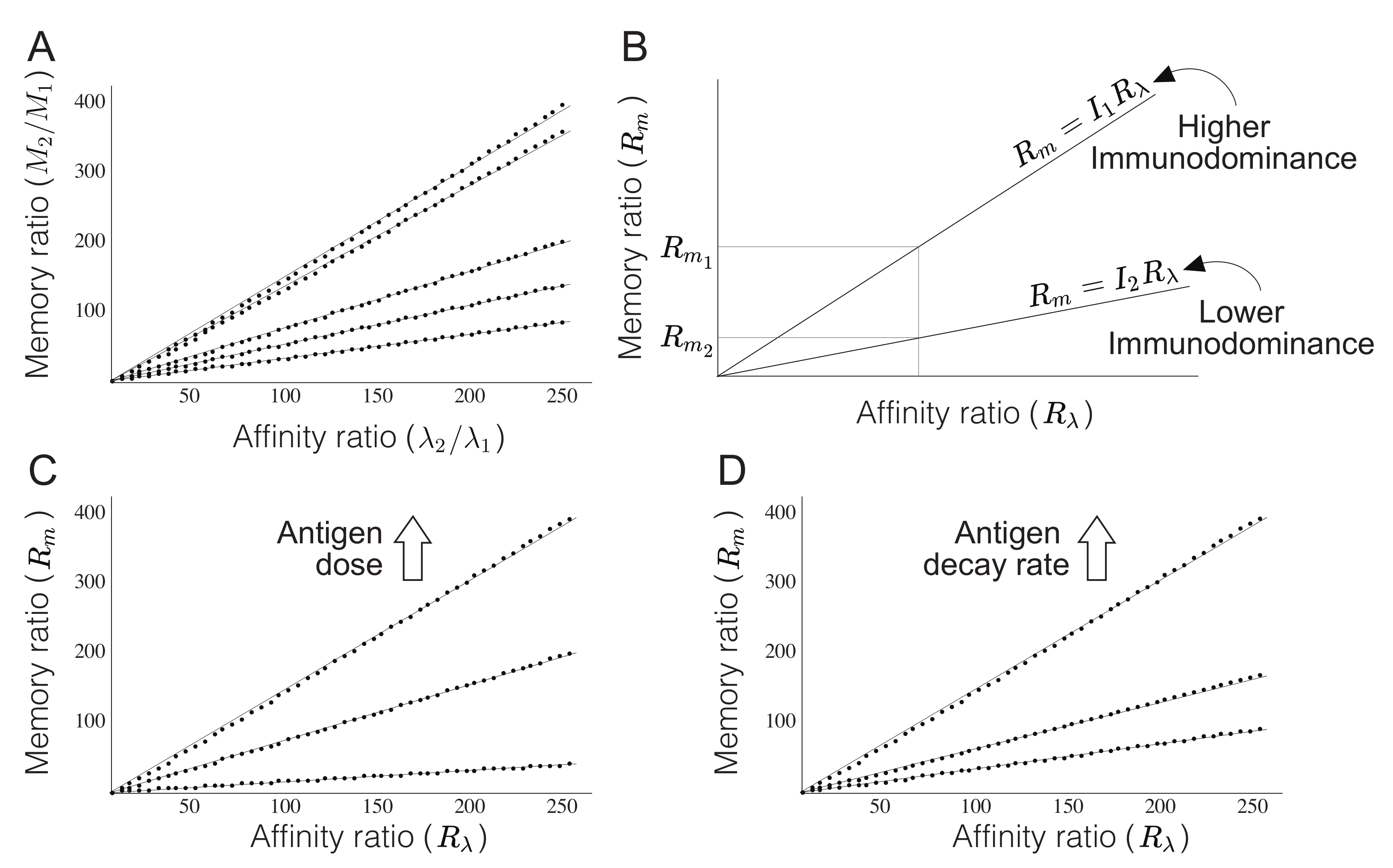 Mathematics Free Full Text Modeling The Dependence Of Immunodominance On T Cell Dynamics In Prime Boost Vaccines Html