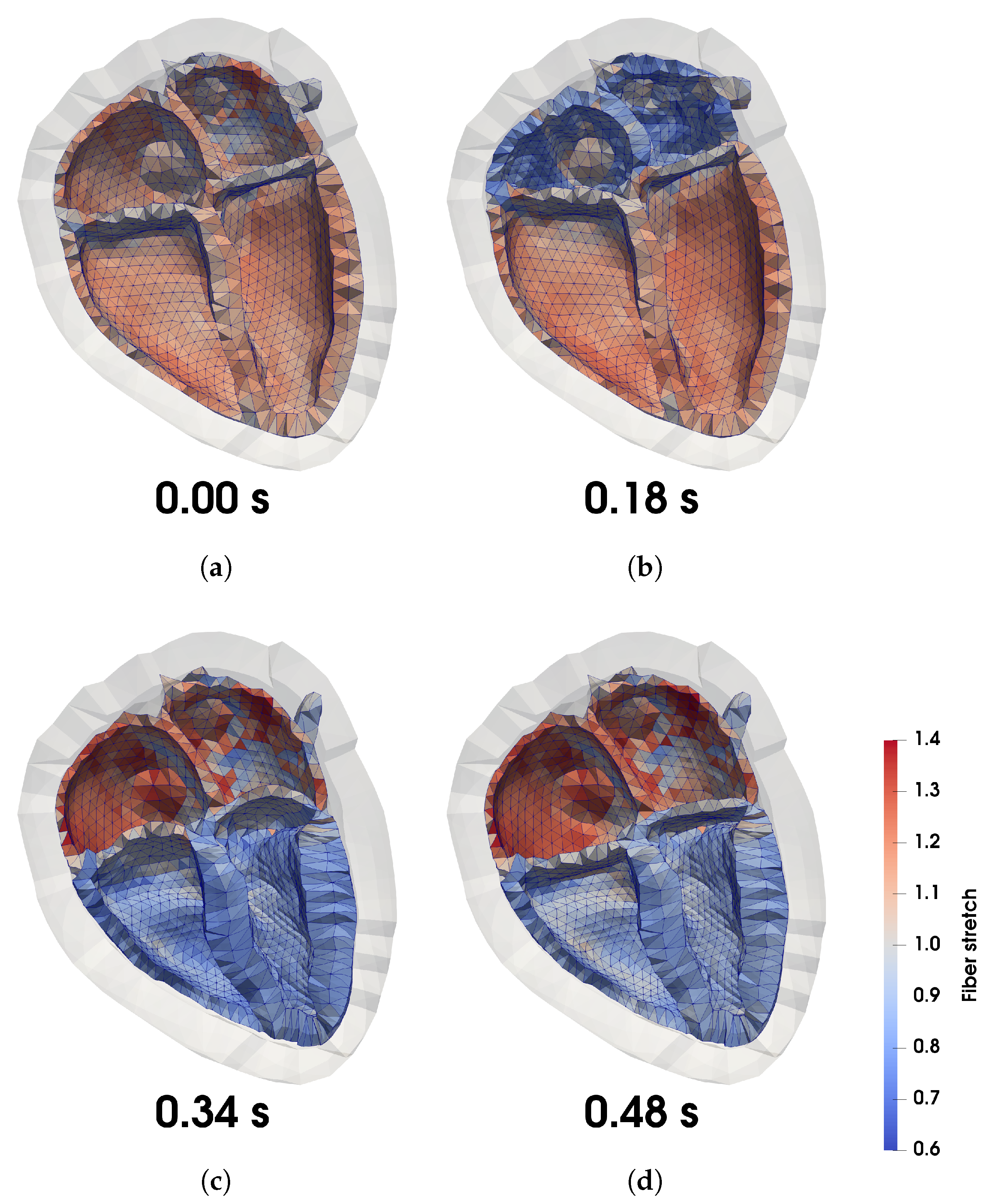 The whole-heart geometry used for the simulation. On the left is the