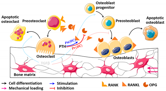 Mathematics 09 01401 i002 Mathematics 09 01401 i002