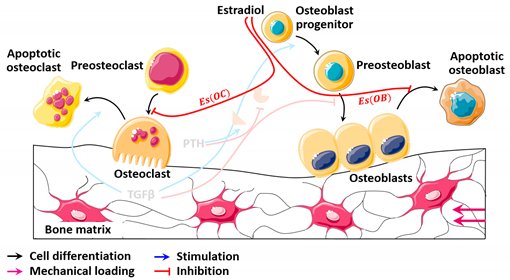Mathematics 09 01401 i003 Mathematics 09 01401 i003
