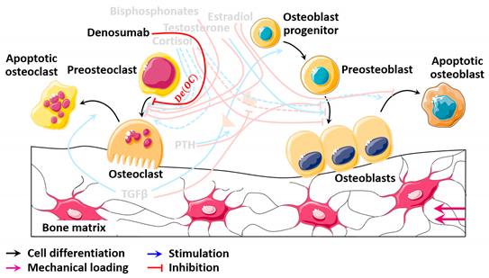 Mathematics 09 01401 i010 Mathematics 09 01401 i010