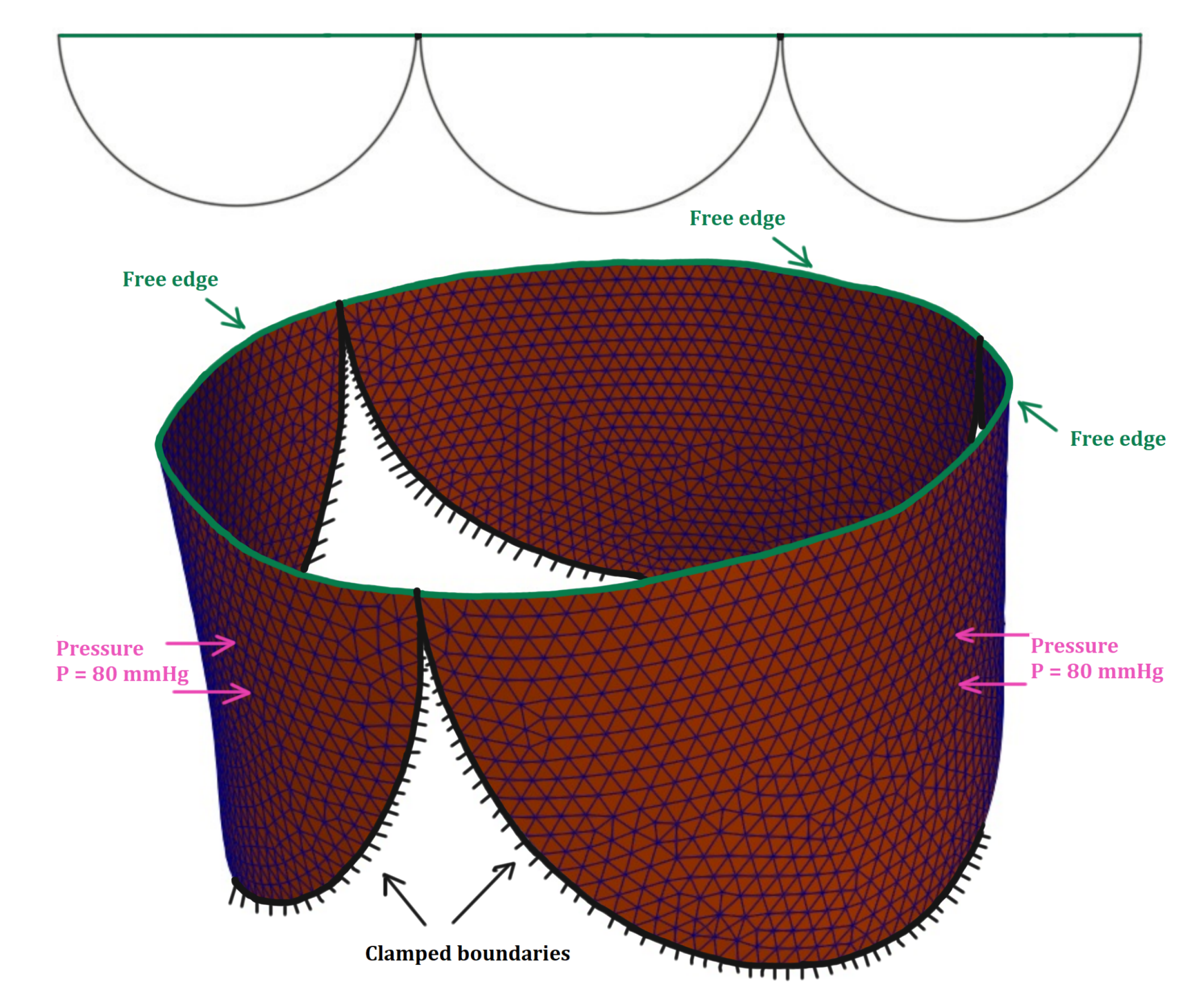 Mathematics 09 01450 g008