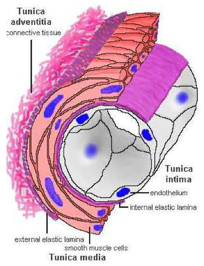 Mathematics 09 02510 g001
