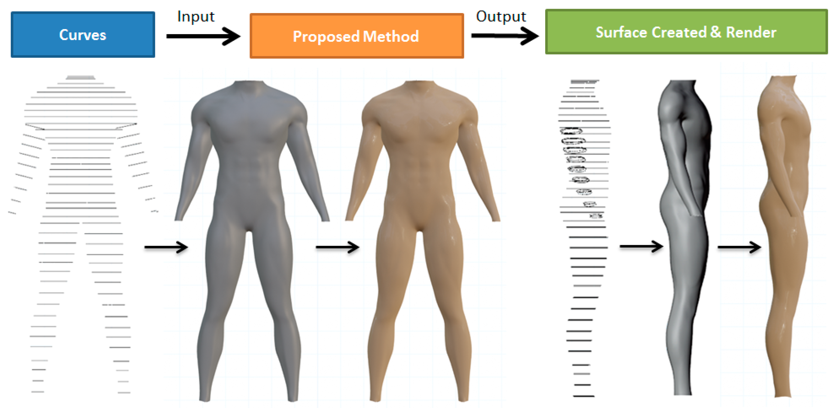 Body shape feature derives from front and side curves.