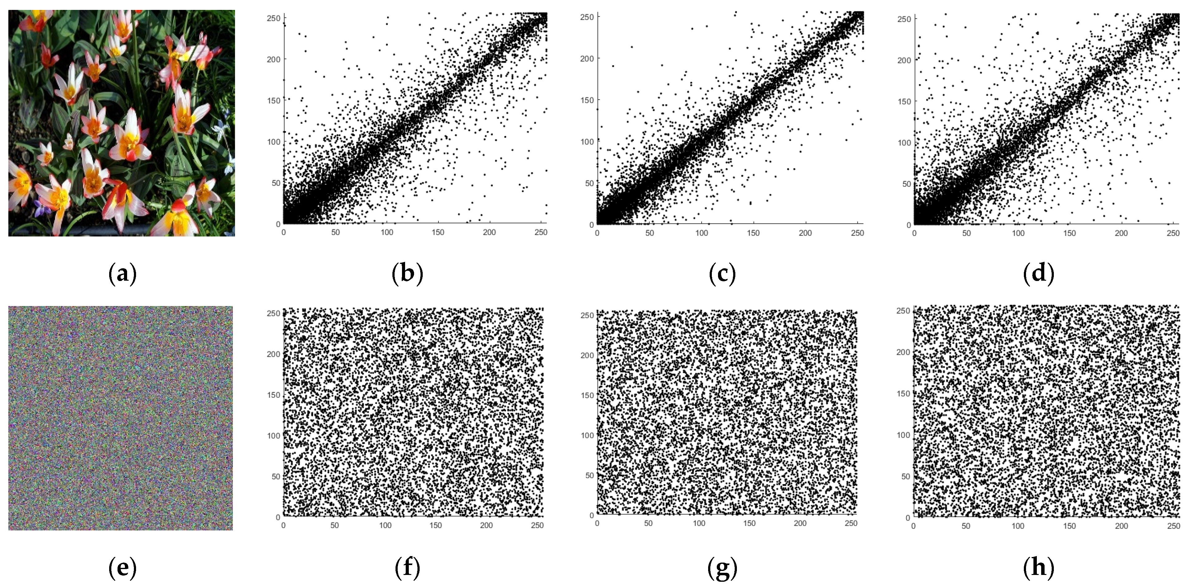 Mathematics 10 02034 g005