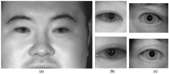 Mathematics | Free Full-Text | Recent Iris and Ocular Recognition Methods  in High- and Low-Resolution Images: A Survey | HTML