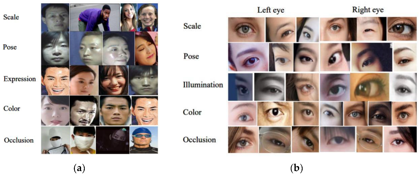 Mathematics 10 02597 g001