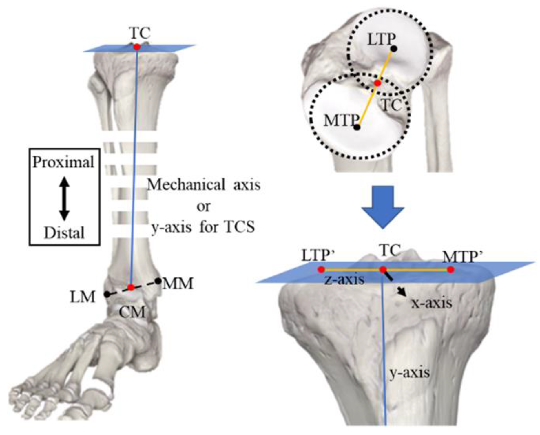 Mathematics 10 03670 g003