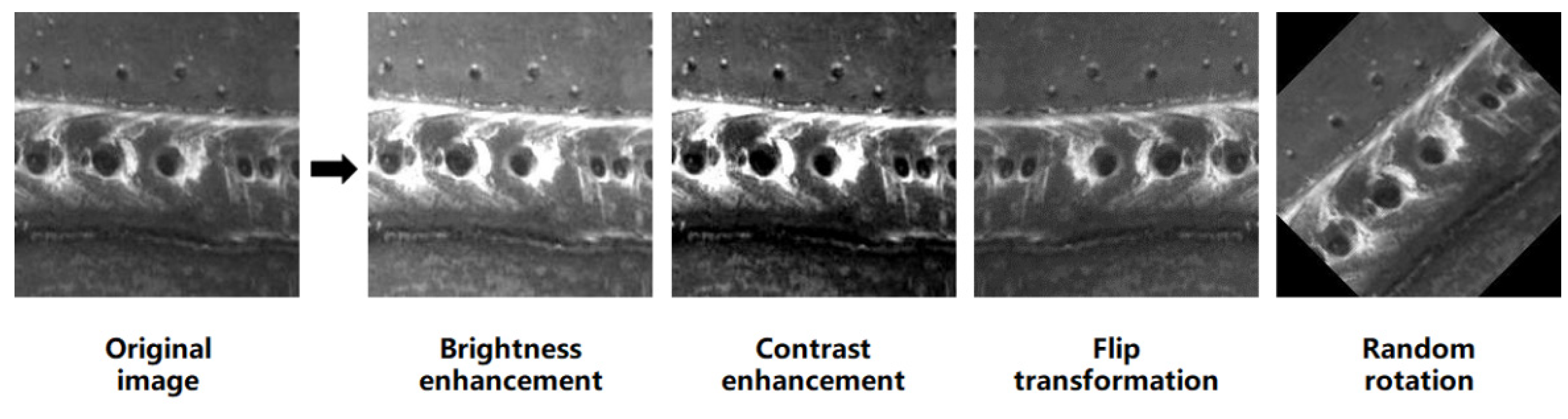 Mathematics 10 03678 g003 Mathematics 10 03678 g003