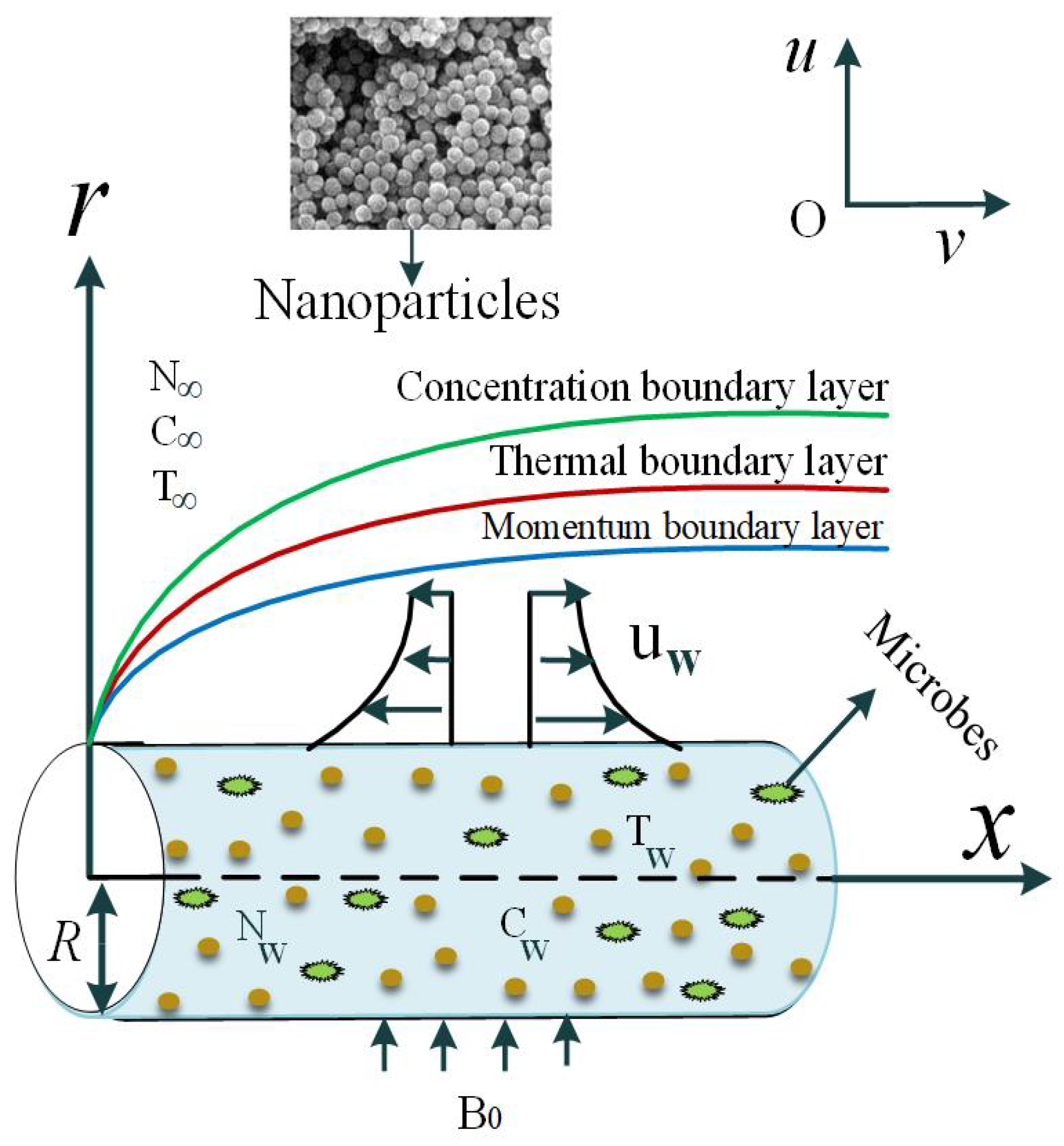 Mathematics 11 01685 g001
