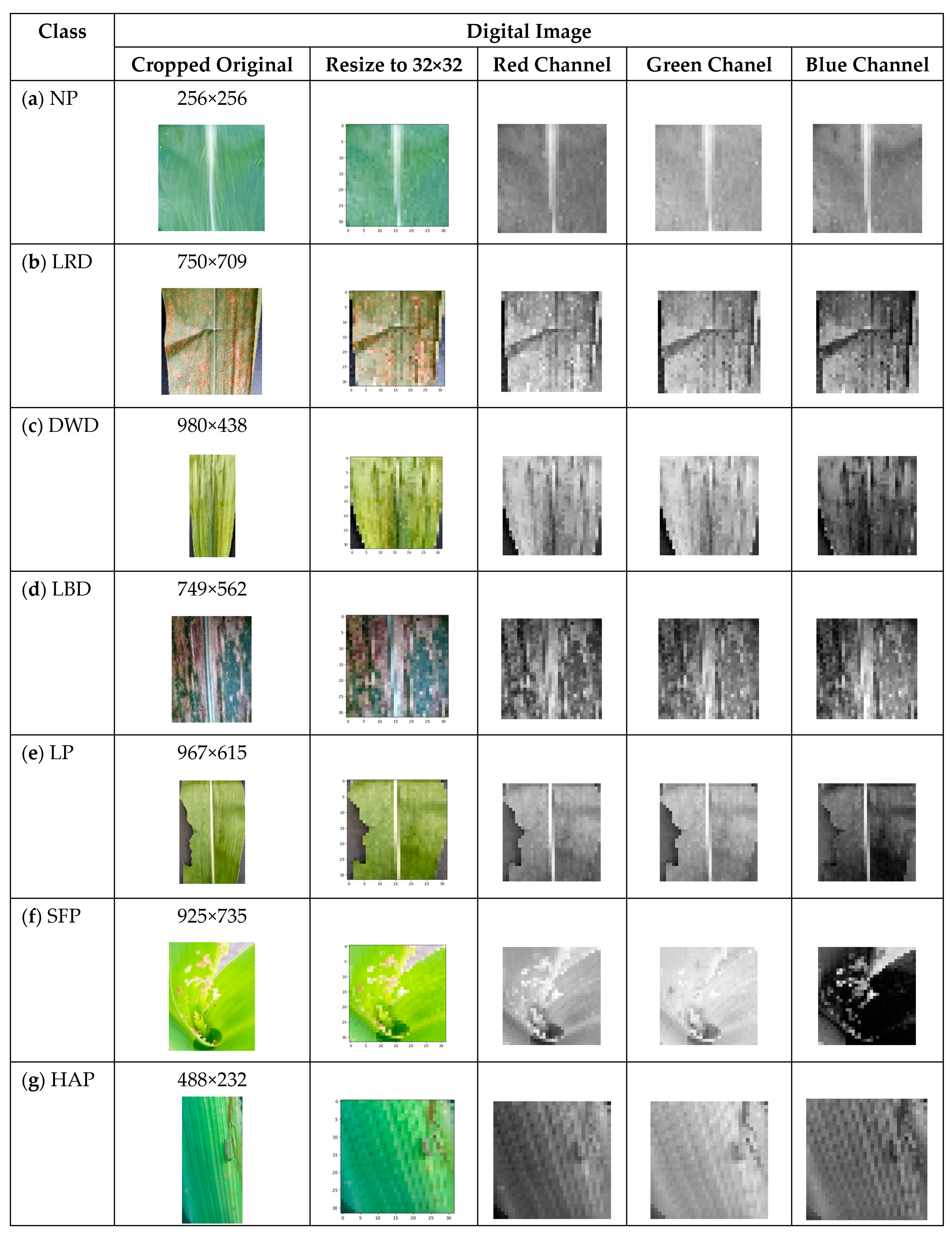 Mathematics 11 01761 g003