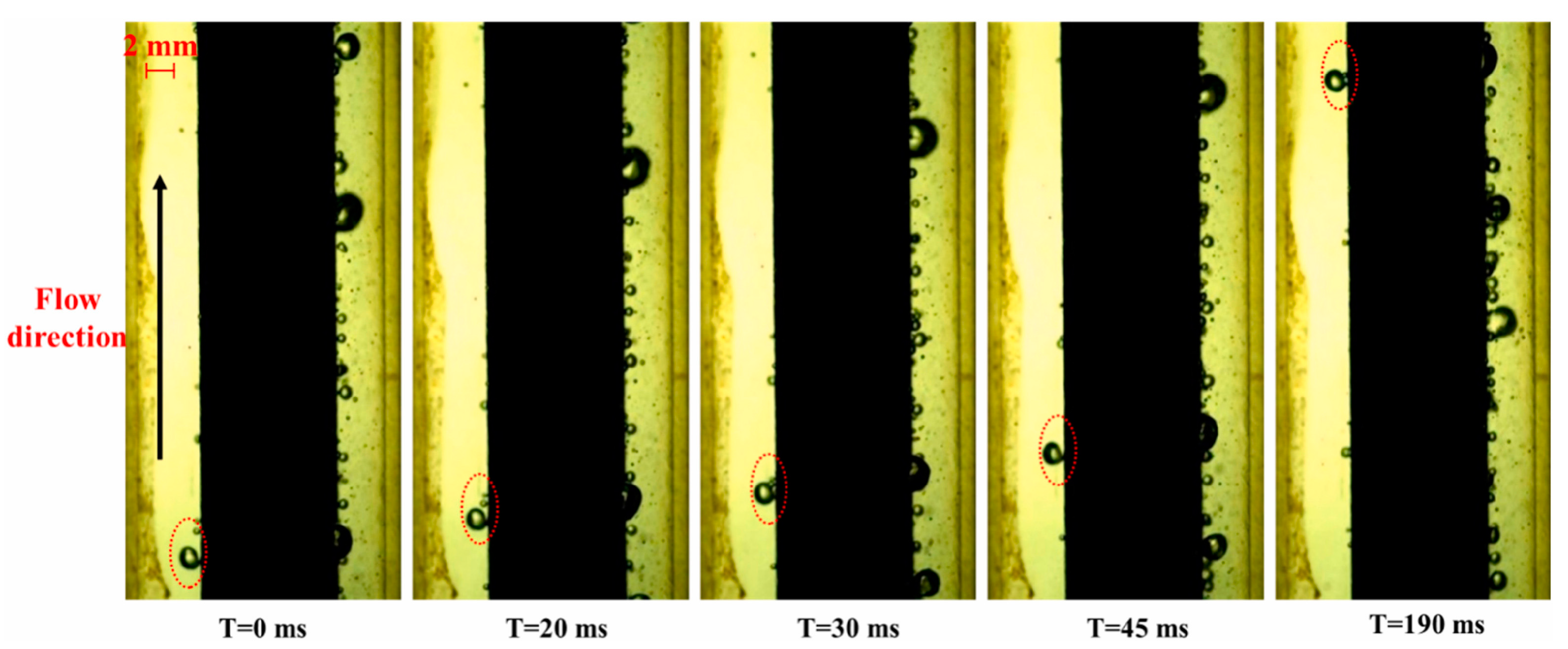 Mathematics 11 02197 g005 Mathematics 11 02197 g005