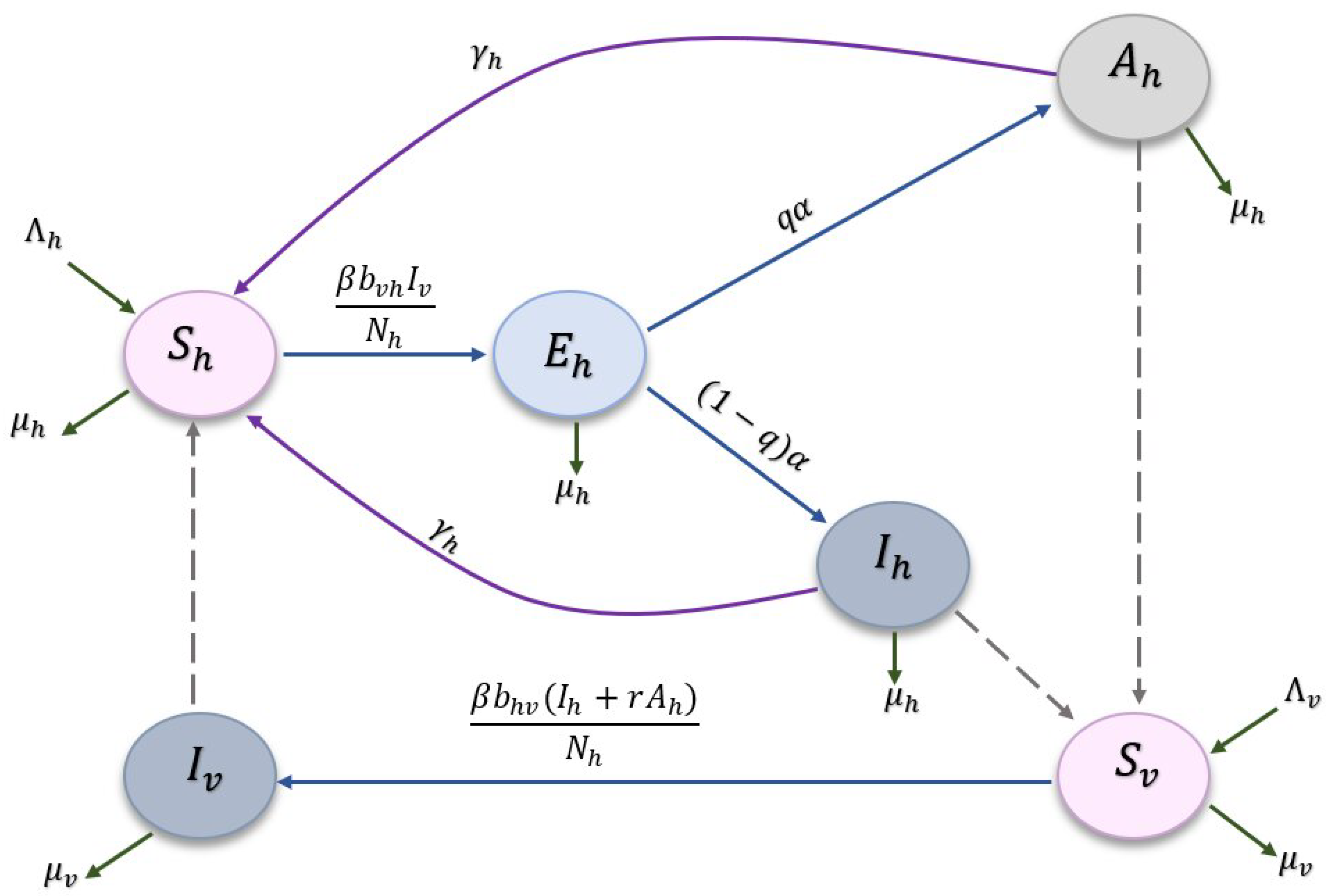 Mathematics 11 02388 g001 Mathematics 11 02388 g001