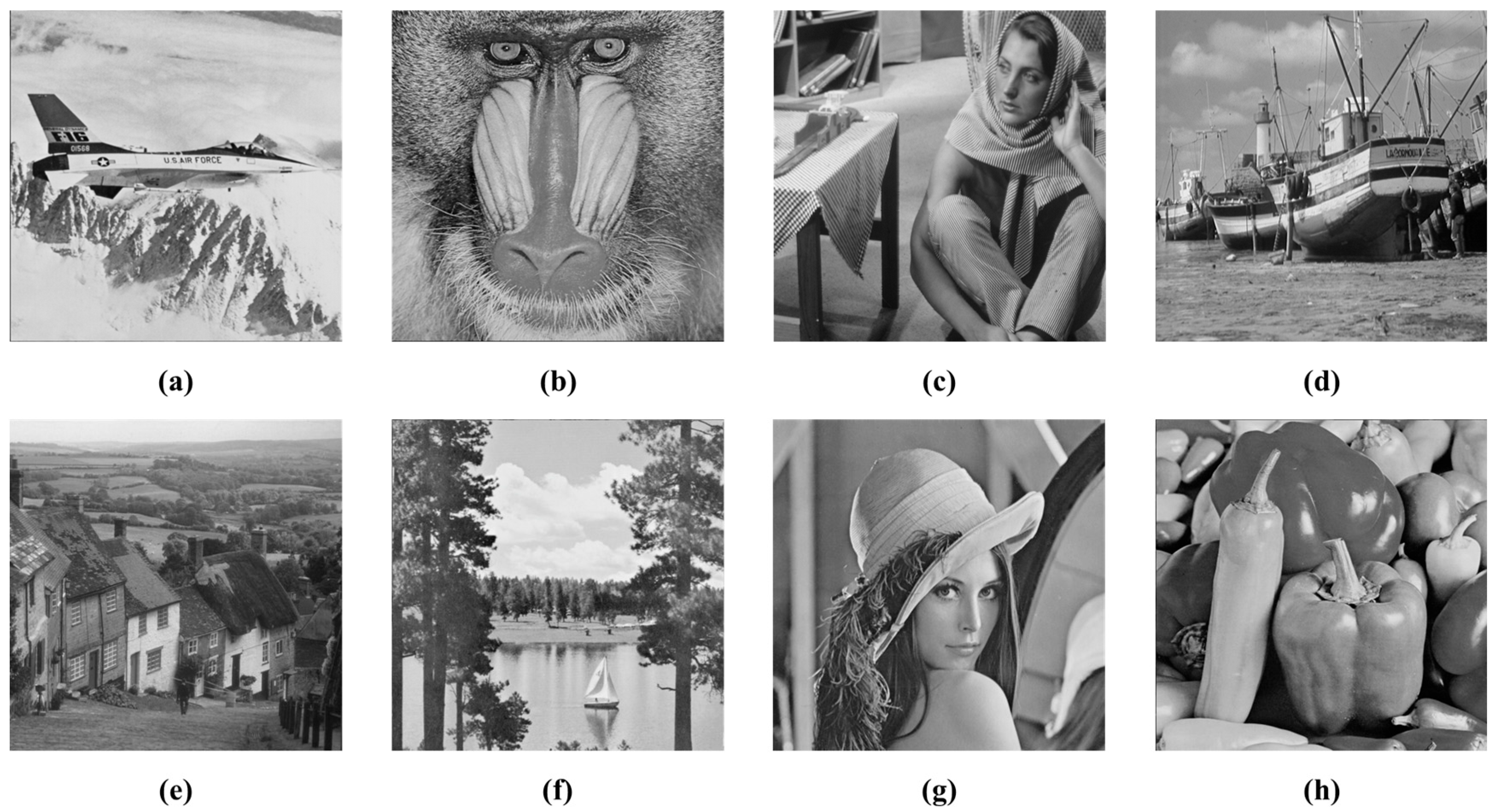 Mathematics 12 00086 g004