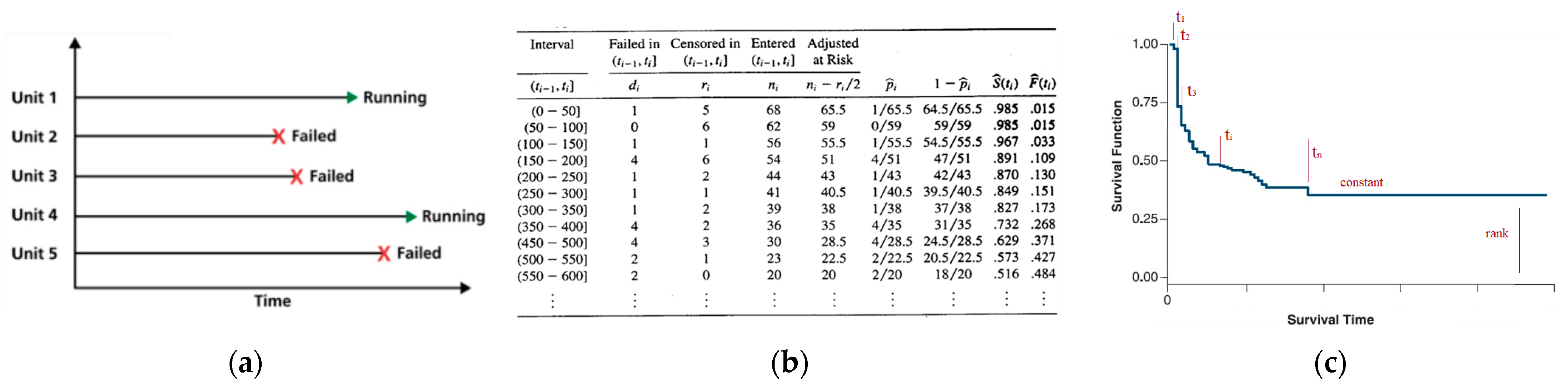 Mathematics 12 00510 g007