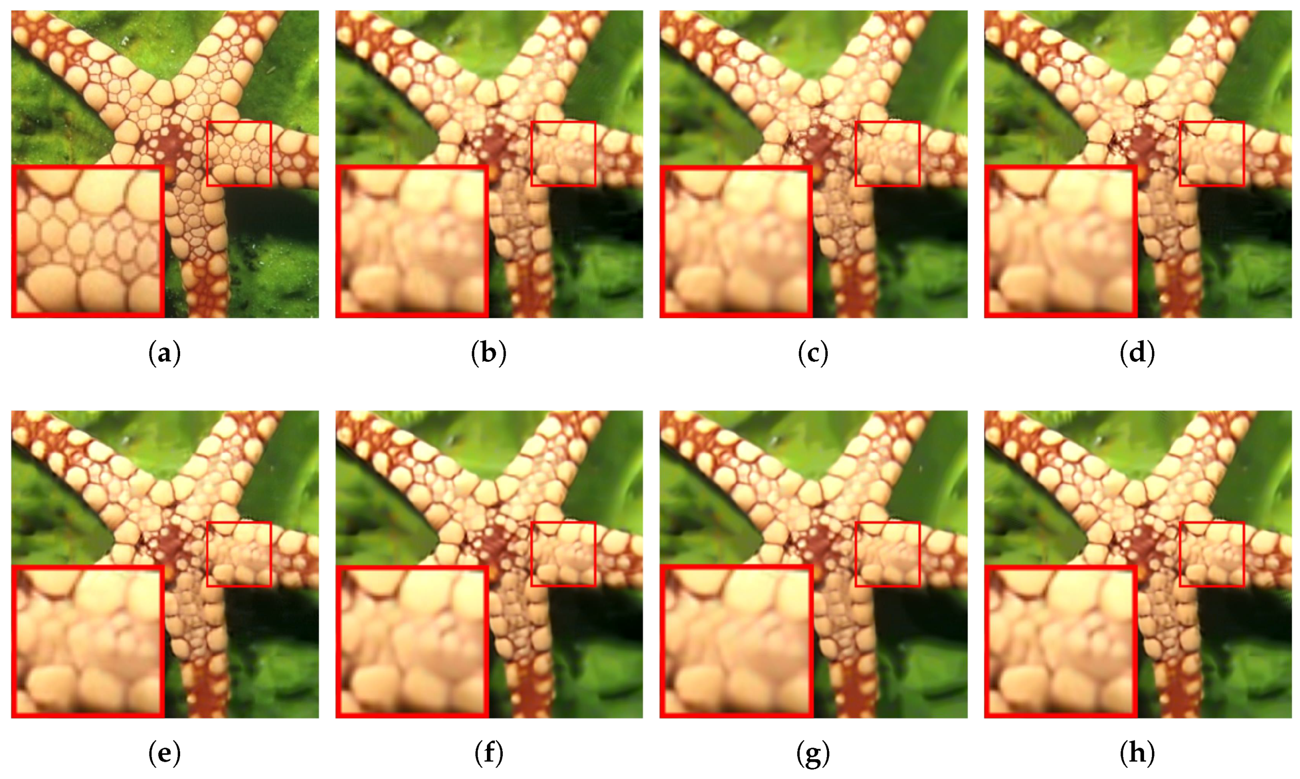 Mathematics 12 01412 g003