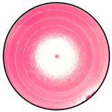 Mathematics 12 01943 i001