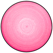 Mathematics 12 01943 i013