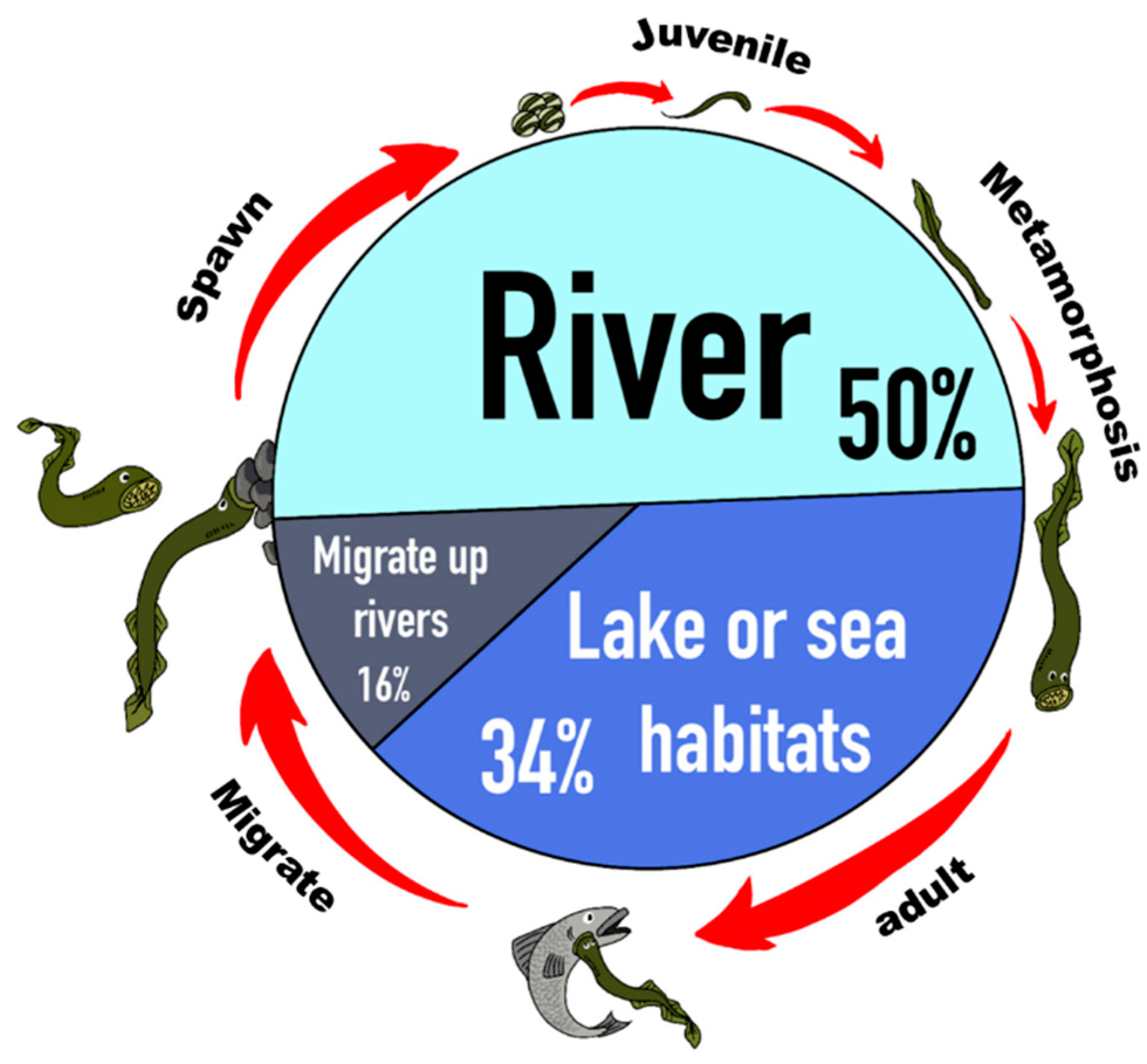 Mathematics 12 02298 g003