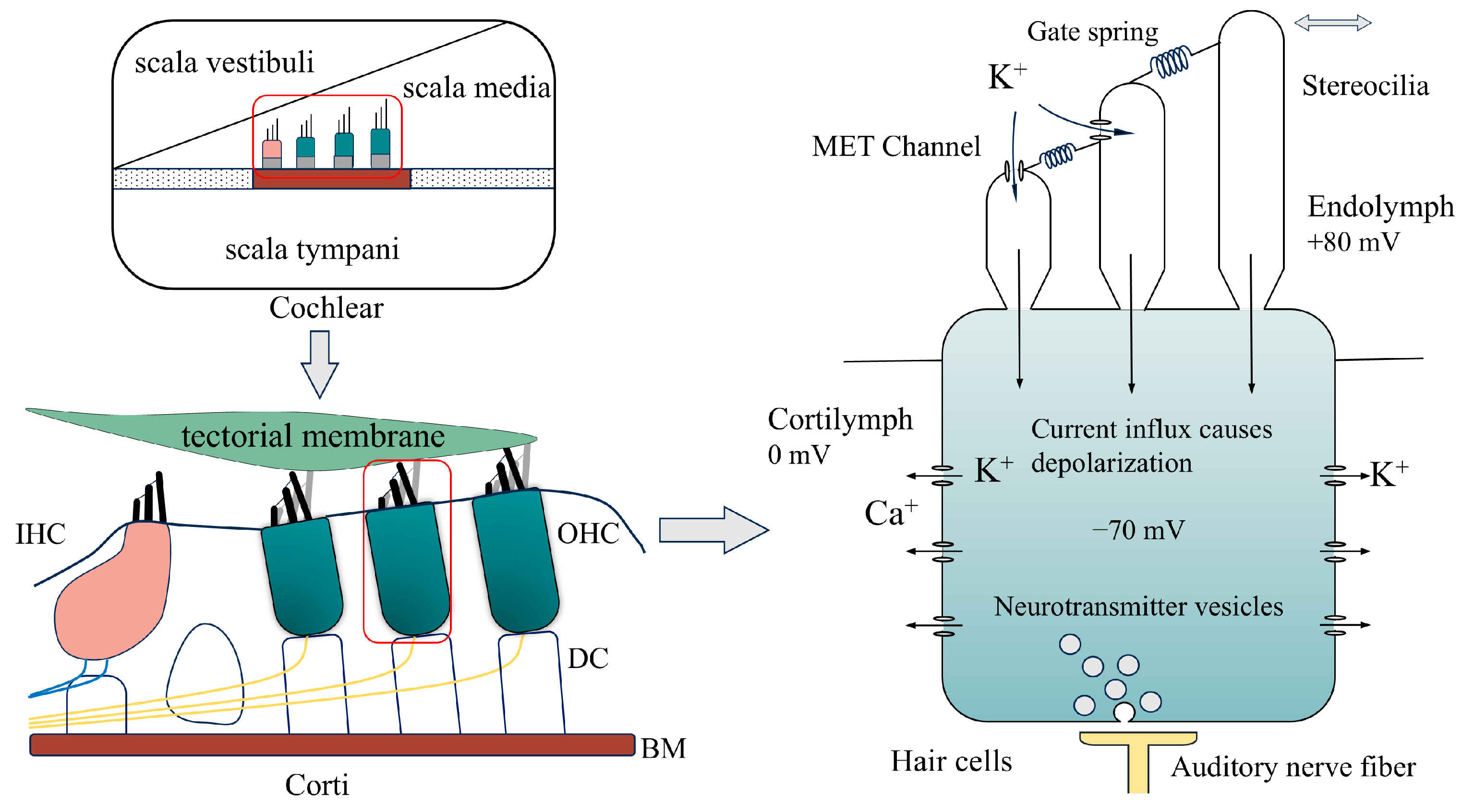 Mathematics 12 02470 g001
