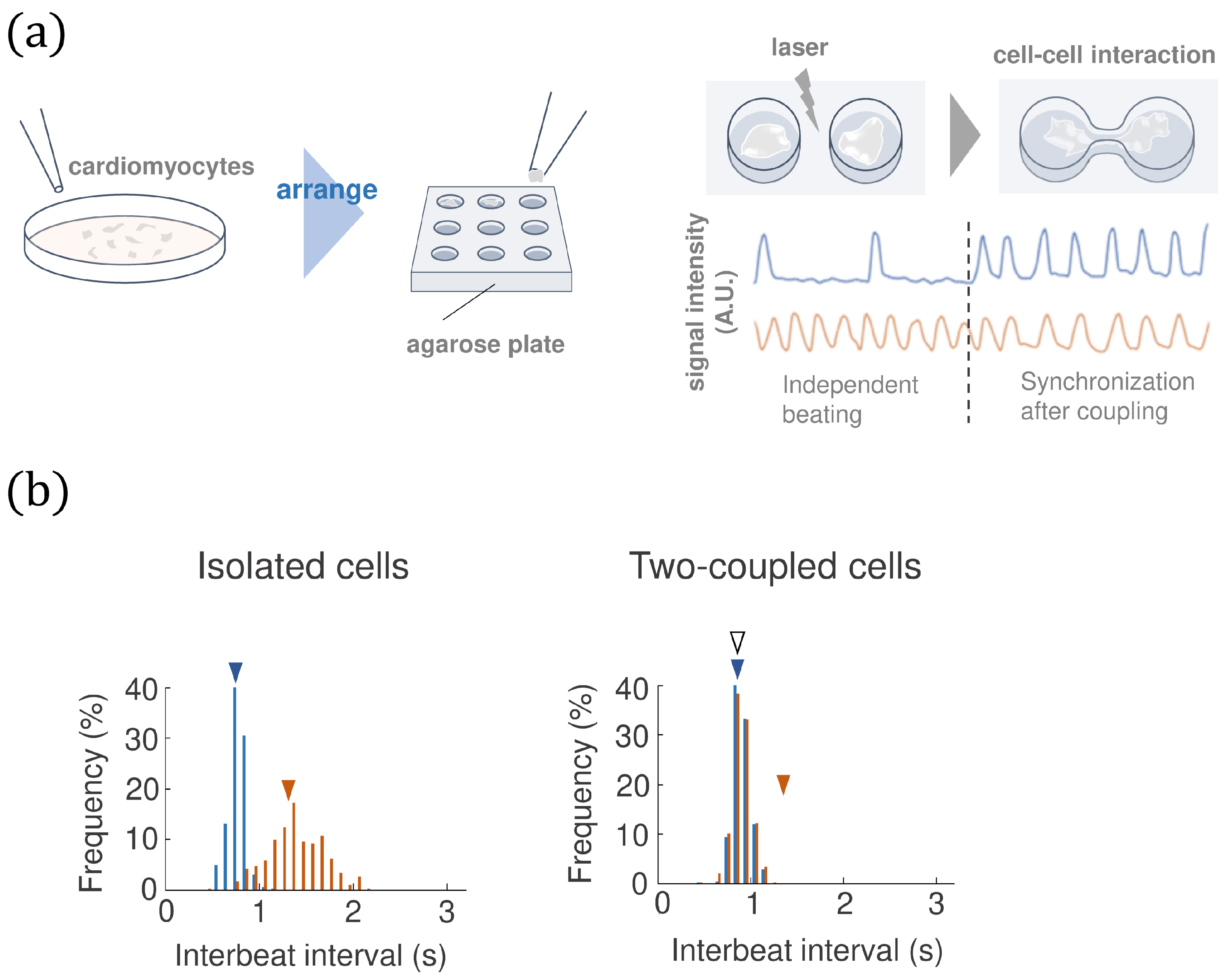 Mathematics 12 02964 g001 Mathematics 12 02964 g001