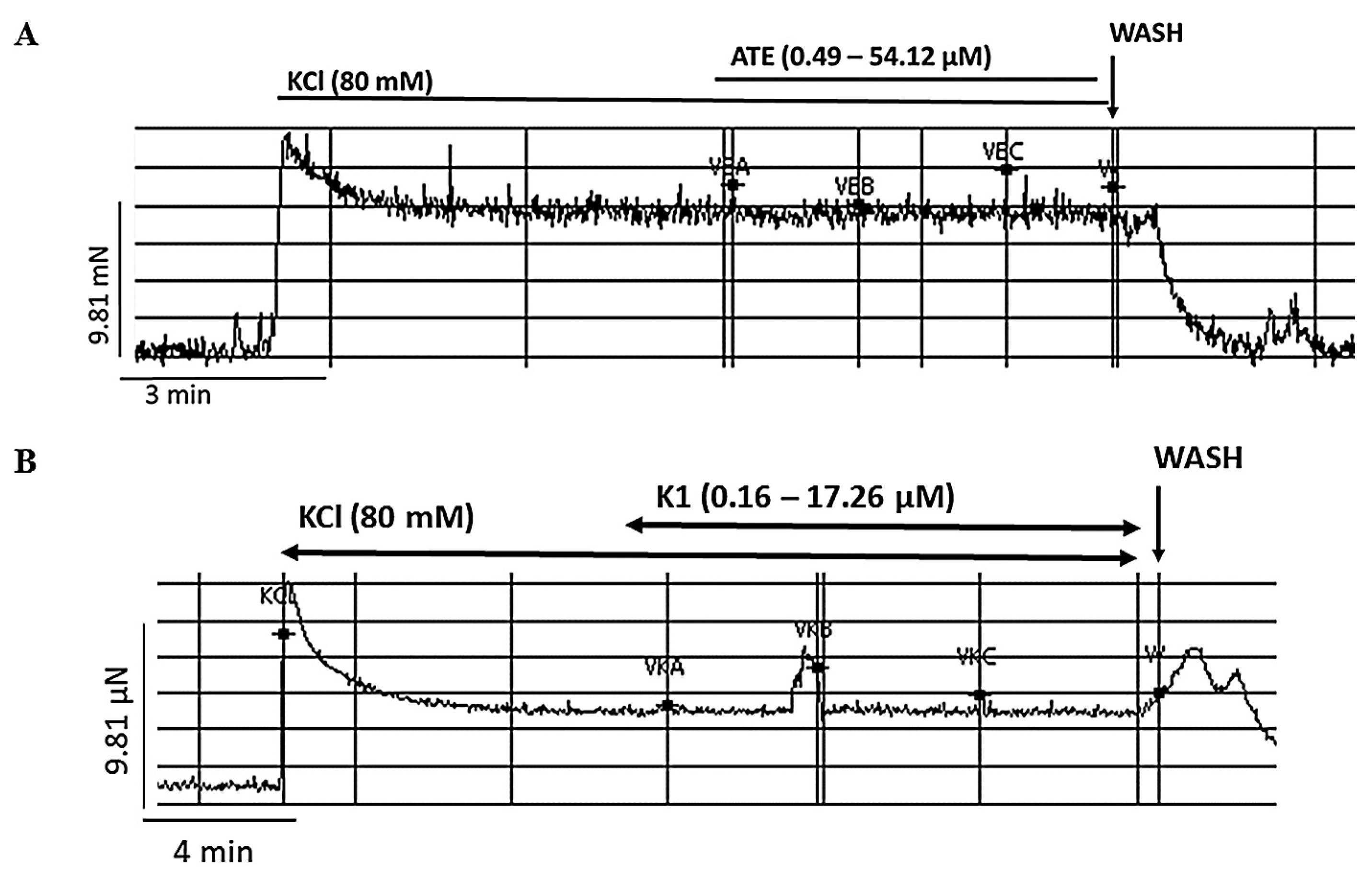 Medicina 53 00190 g005 Medicina 53 00190 g005