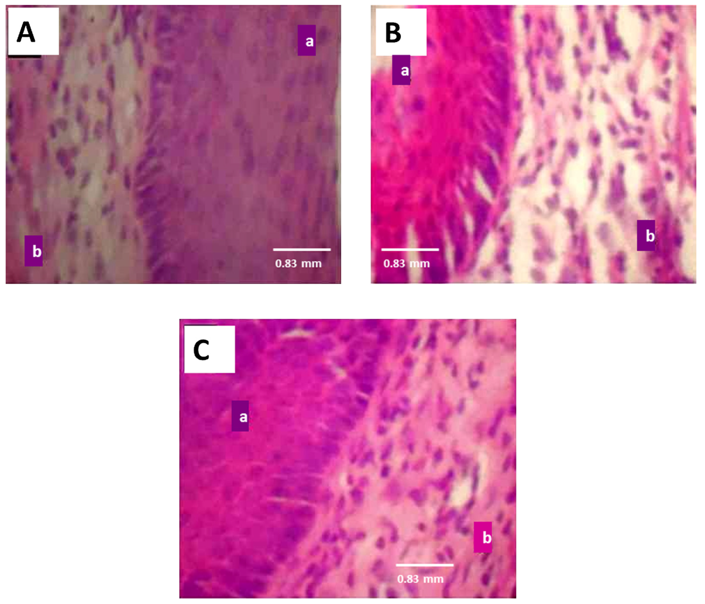 Medicina 53 00190 g008 Medicina 53 00190 g008
