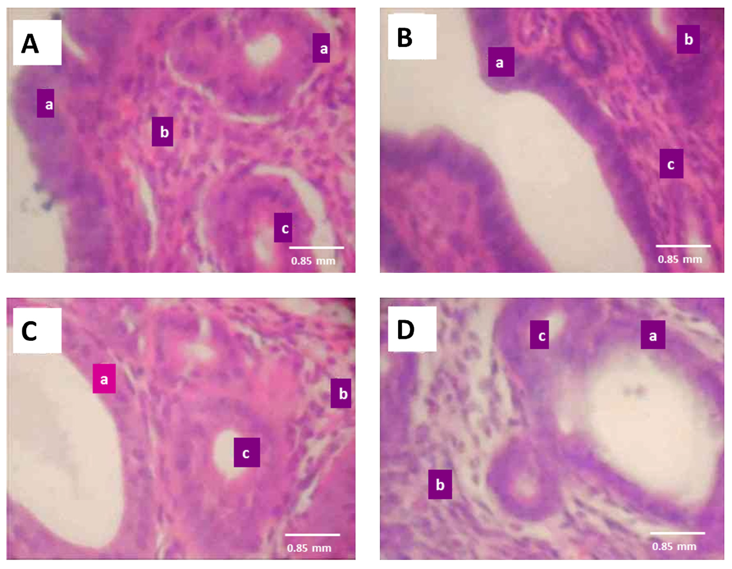 Medicina 53 00190 g009 Medicina 53 00190 g009