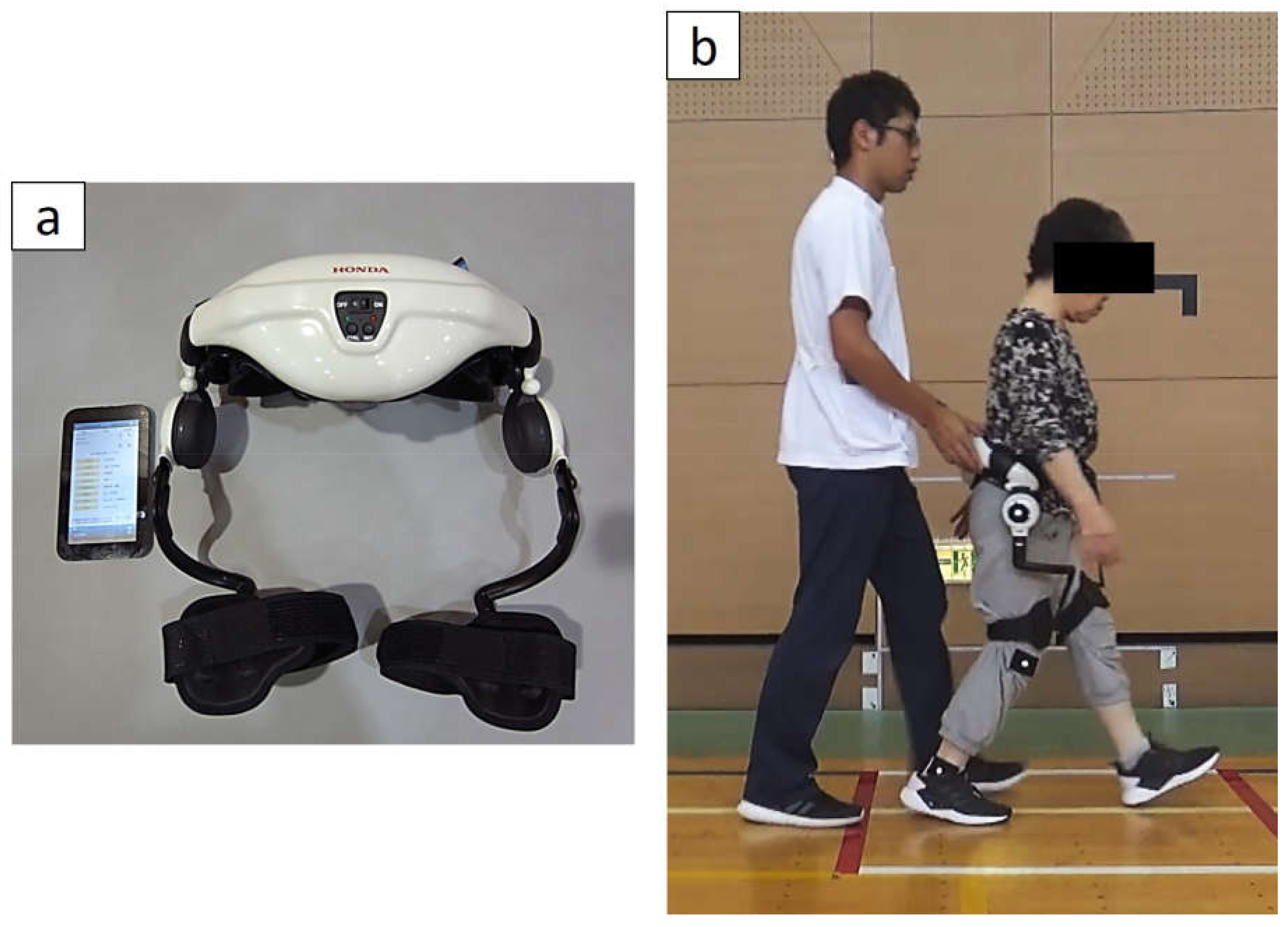 Medicina | Free Full-Text | Gait Training Using the Honda Walking Assistive  Device® in a Patient Who Underwent Total Hip Arthroplasty: A Single-Subject  Study