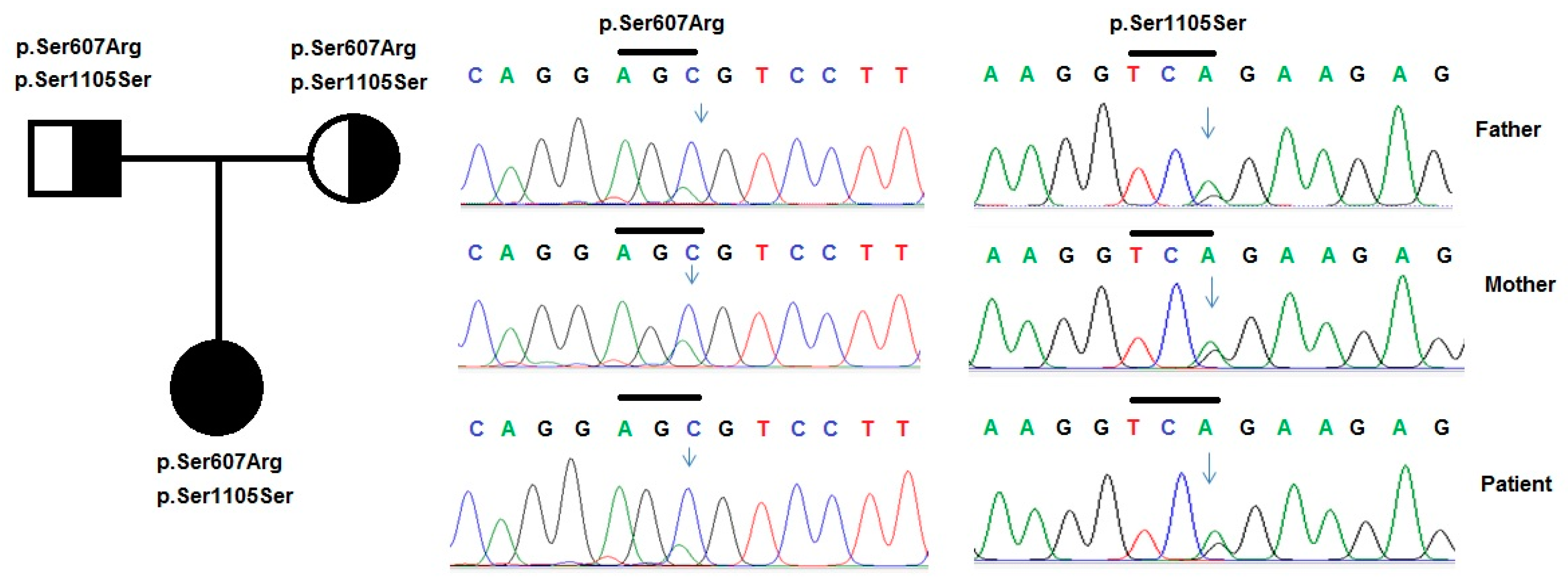 Medicina 55 00102 g001 Medicina 55 00102 g001