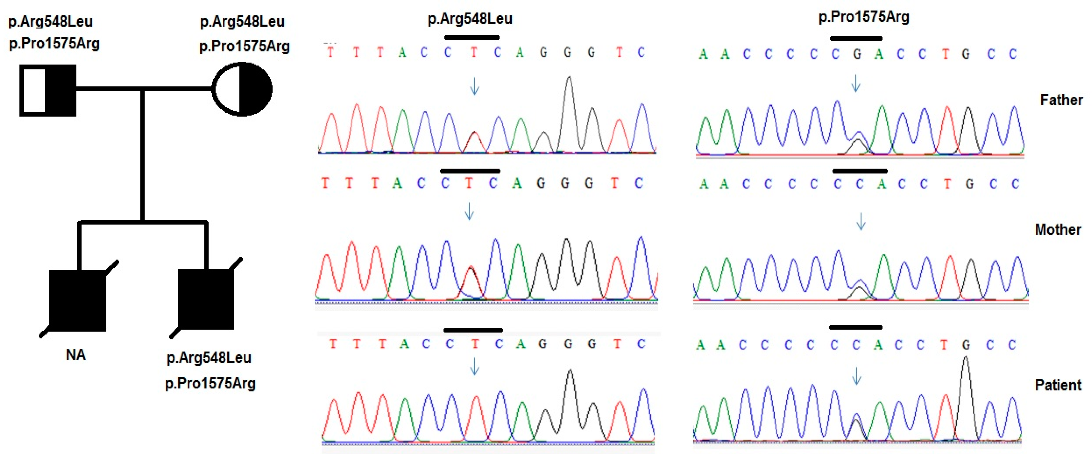 Medicina 55 00102 g004 Medicina 55 00102 g004