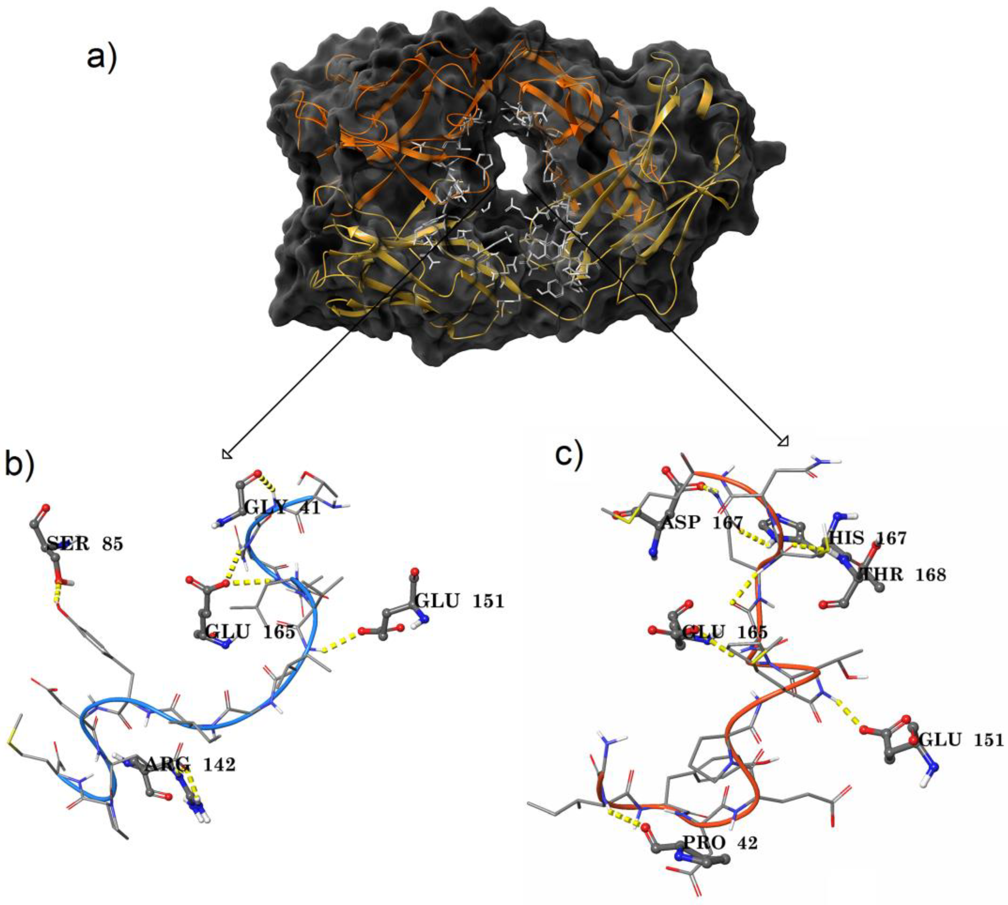 Medicina 55 00178 g003