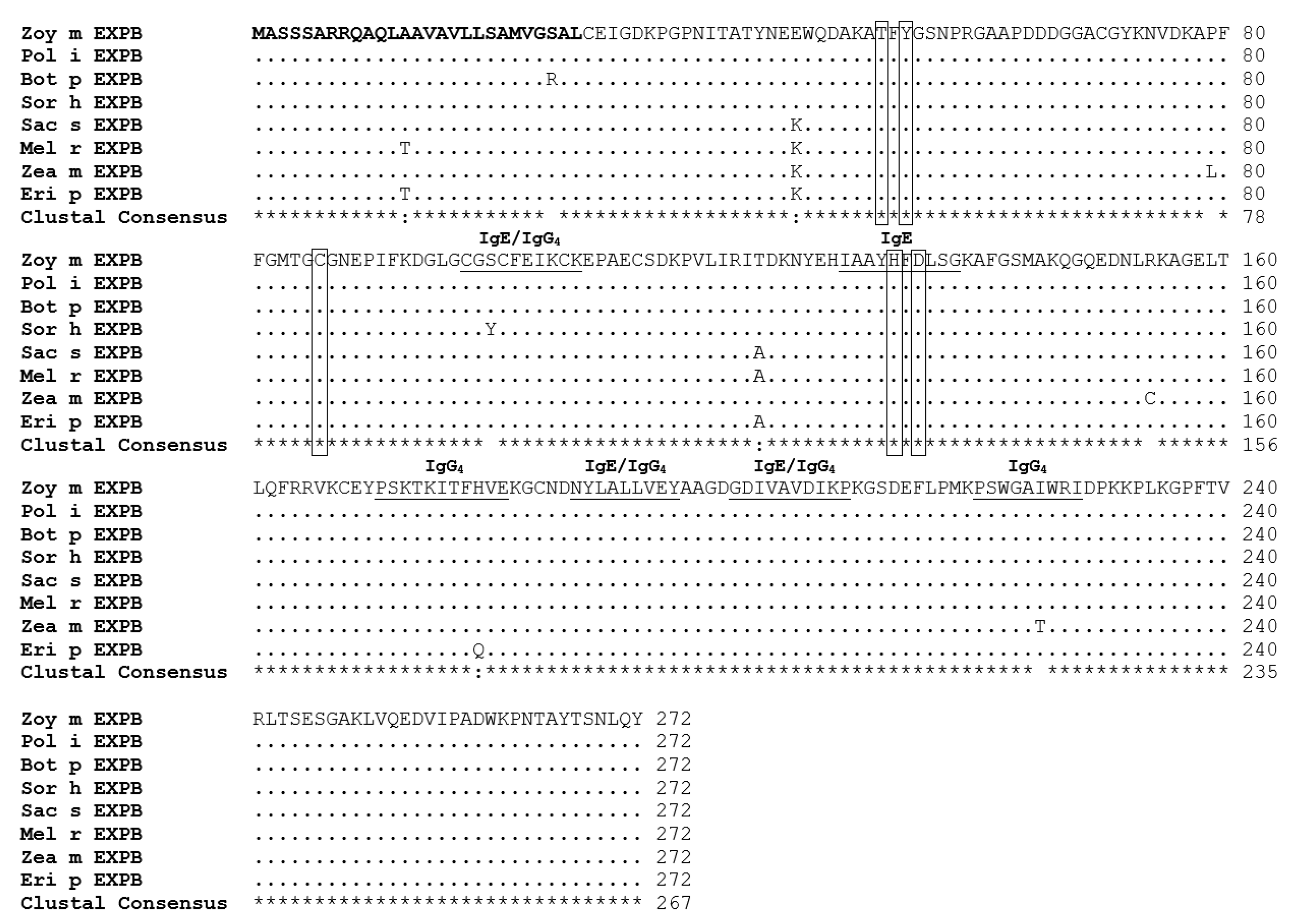 bioedit sequence identity matrix