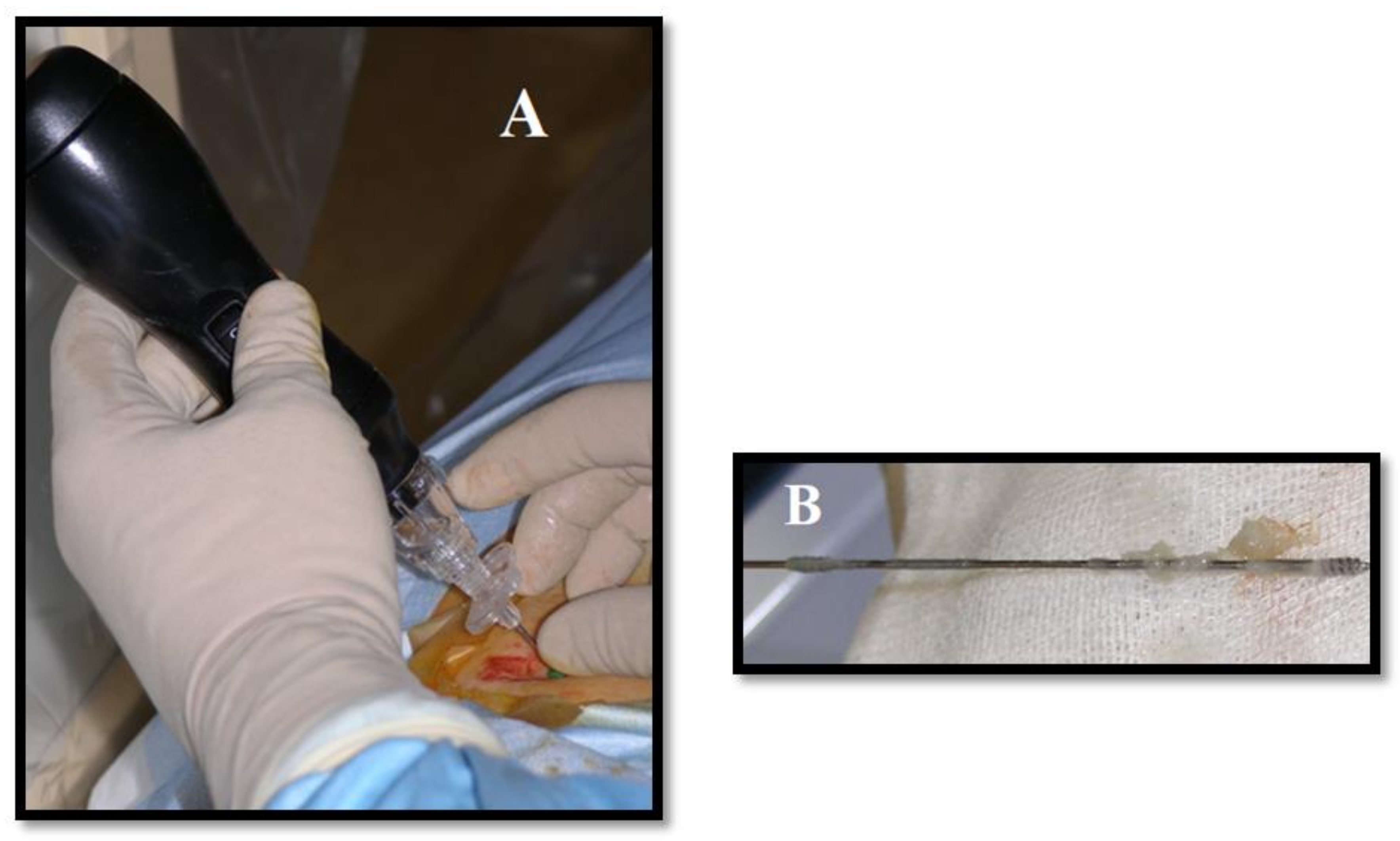 Medicina 55 00471 g003 Medicina 55 00471 g003